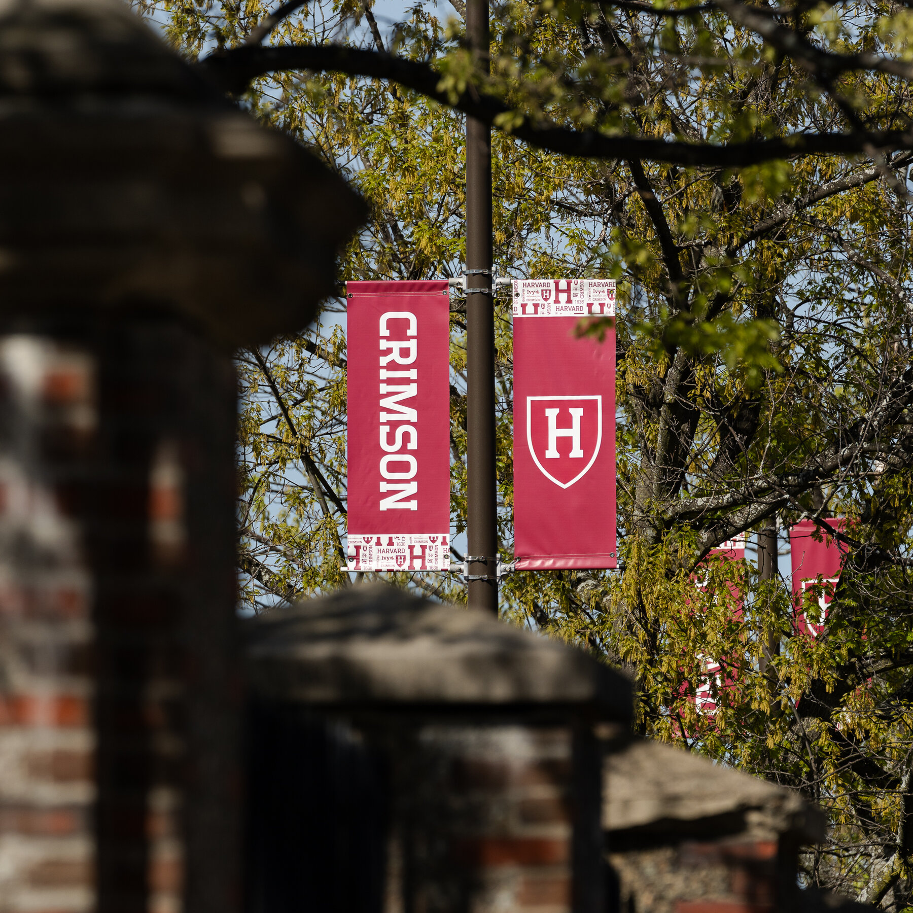 In Battle With Trump, Harvard Leaders See Bad Outcomes Ahead