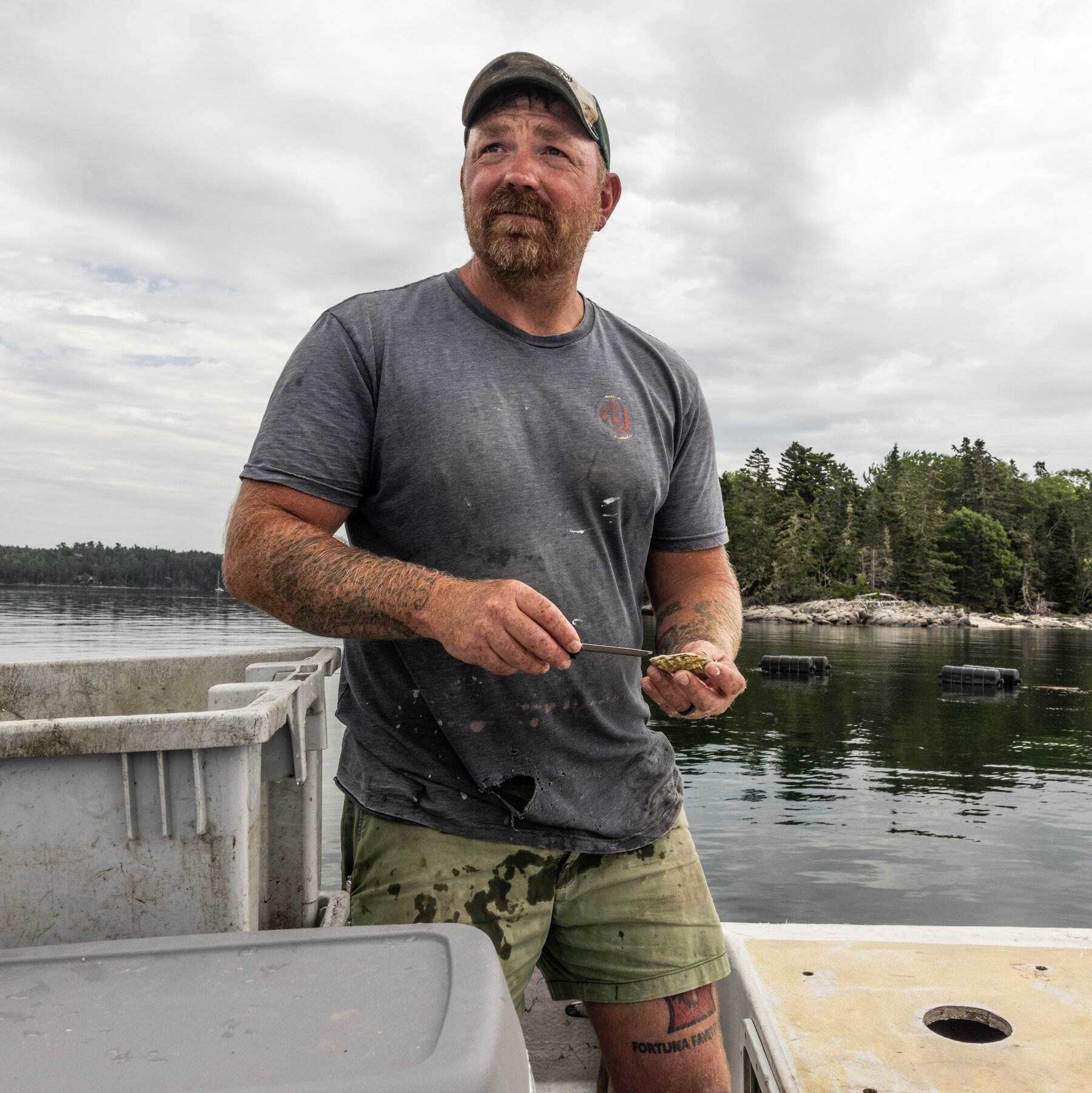 In Maine, a Political Novice Makes a Long-Shot Bid to Oust Collins