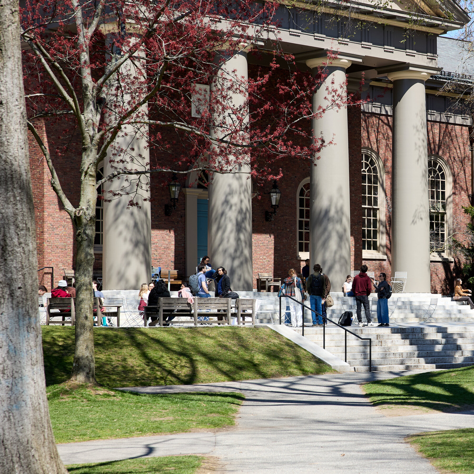 In Trump Attack on Harvard, Punishment Before Proof
