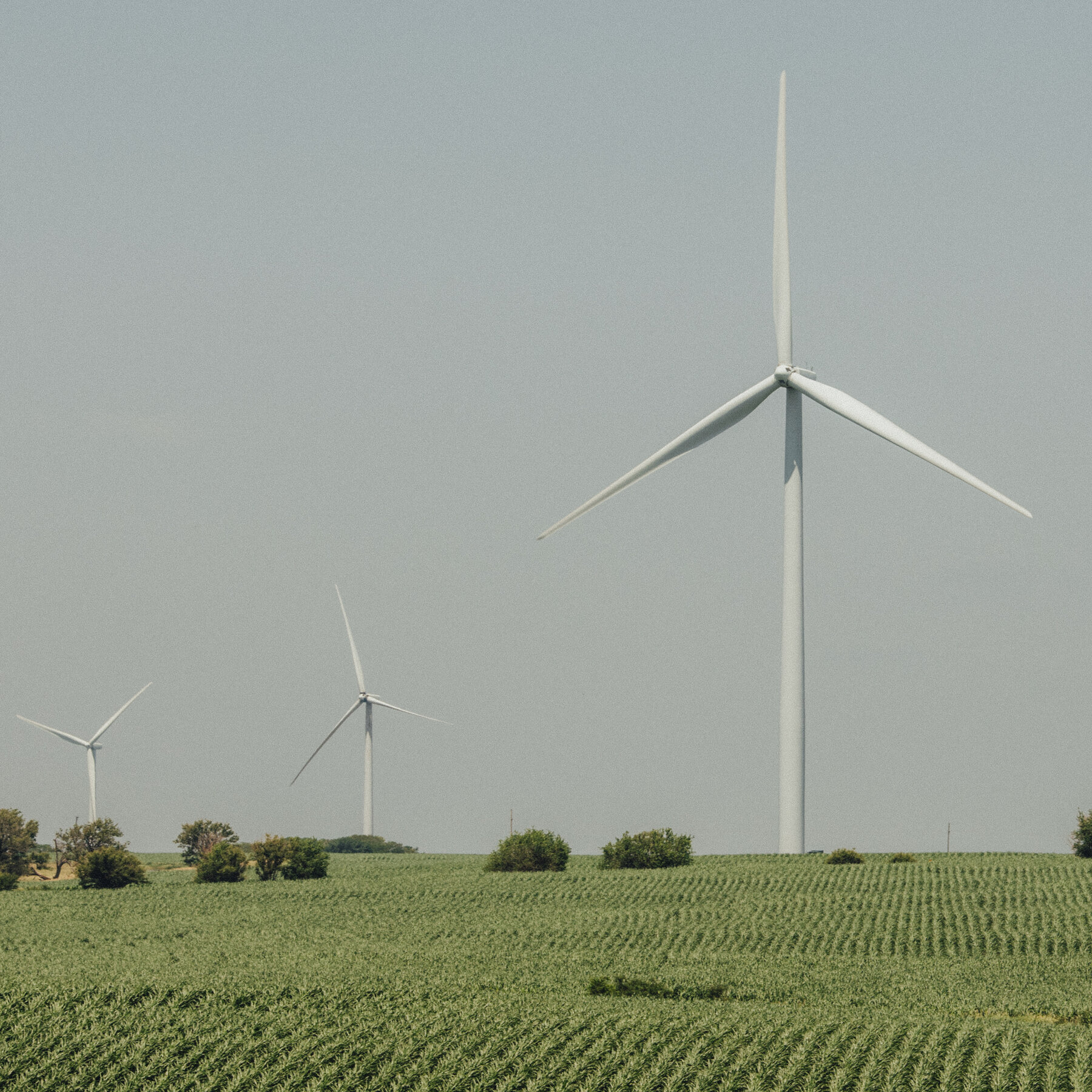 Inside a Last-Ditch Battle to Save (or Kill) Clean-Energy Tax Credits