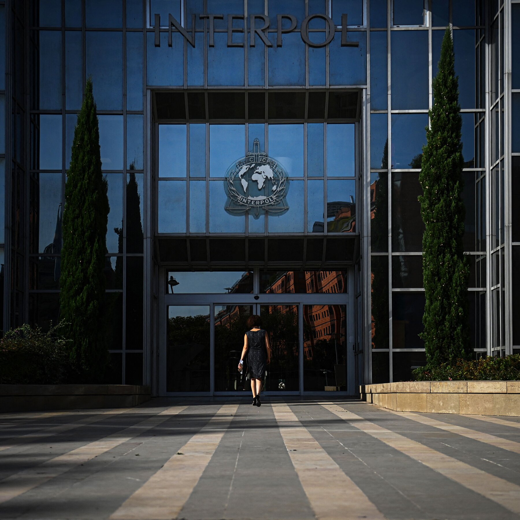 Interpol Arrests 20 Over Network That Distributed Child Sex Abuse Material