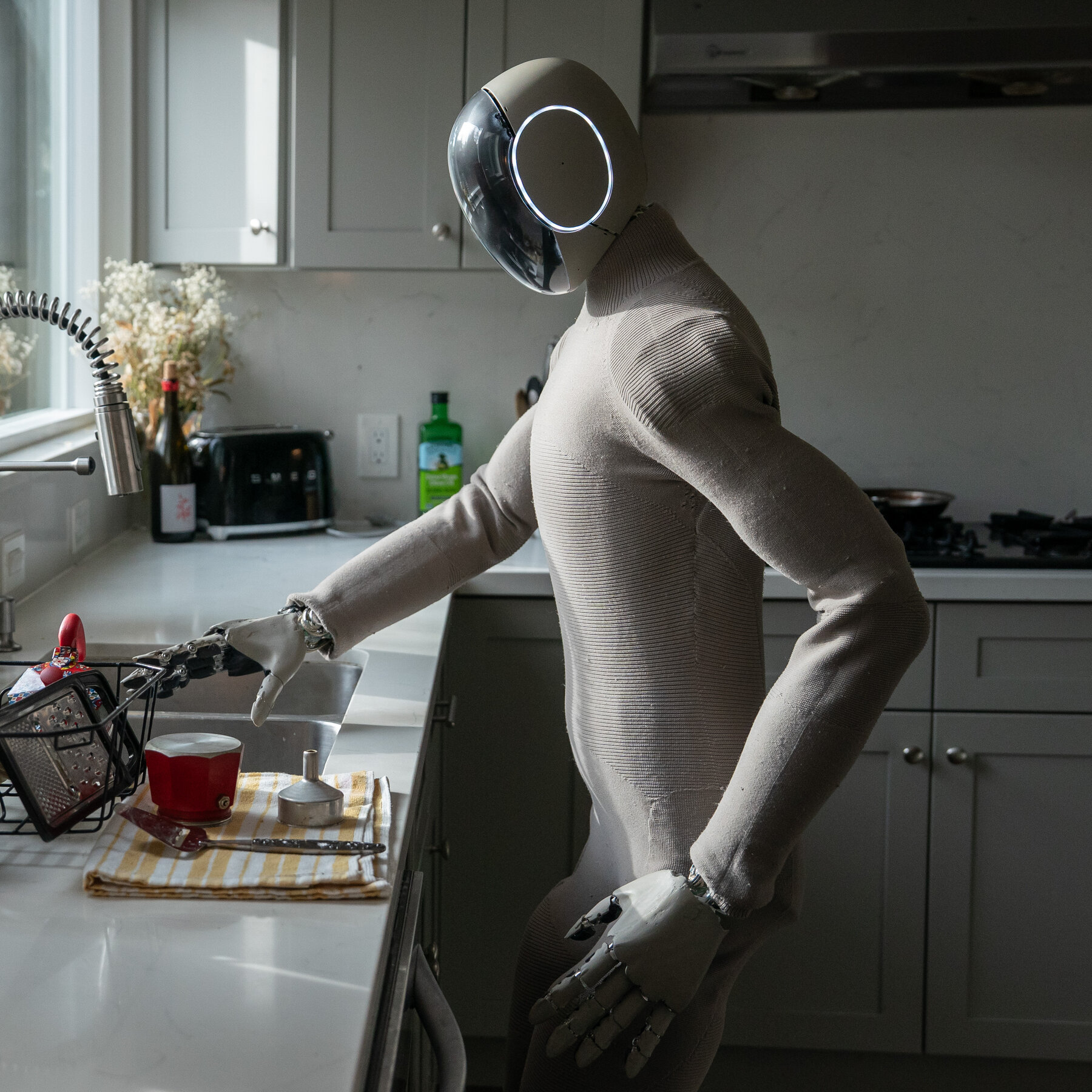 Invasion of the Home Humanoid Robots