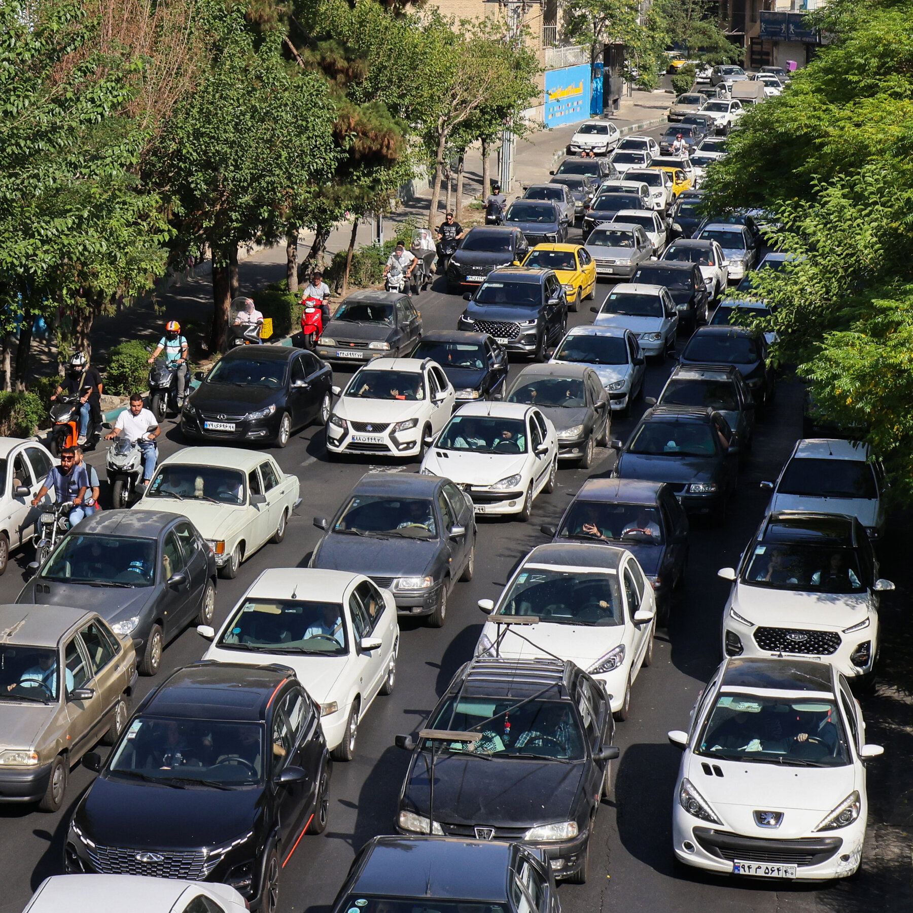 Iranians turn to one another amid a dearth of official guidance.