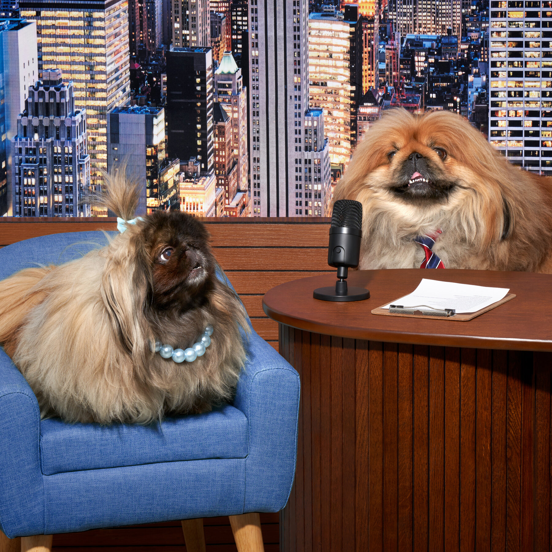 Is This a Talk Show or a Job Interview?