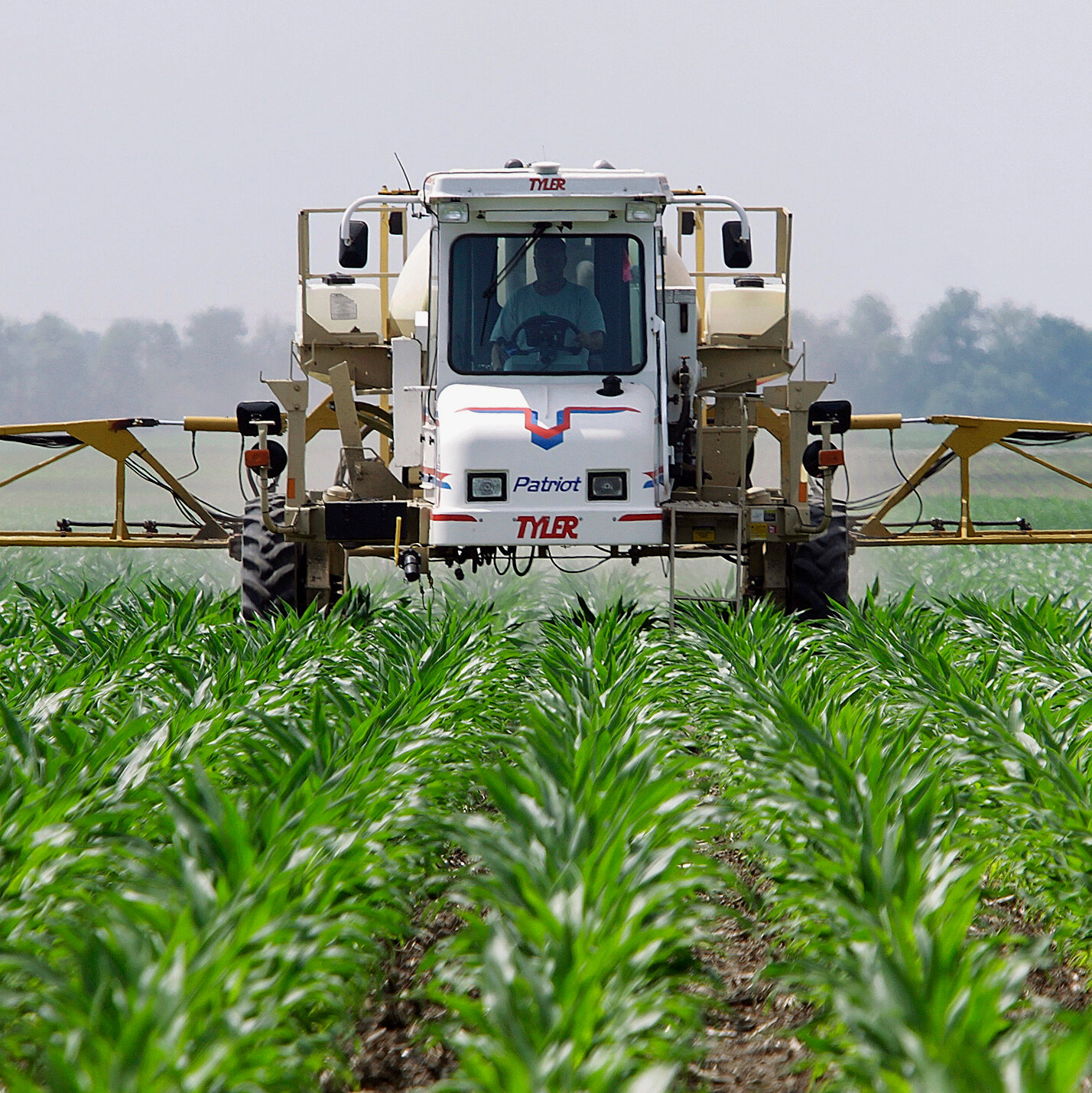 Is This Common Herbicide Harming Your Health?