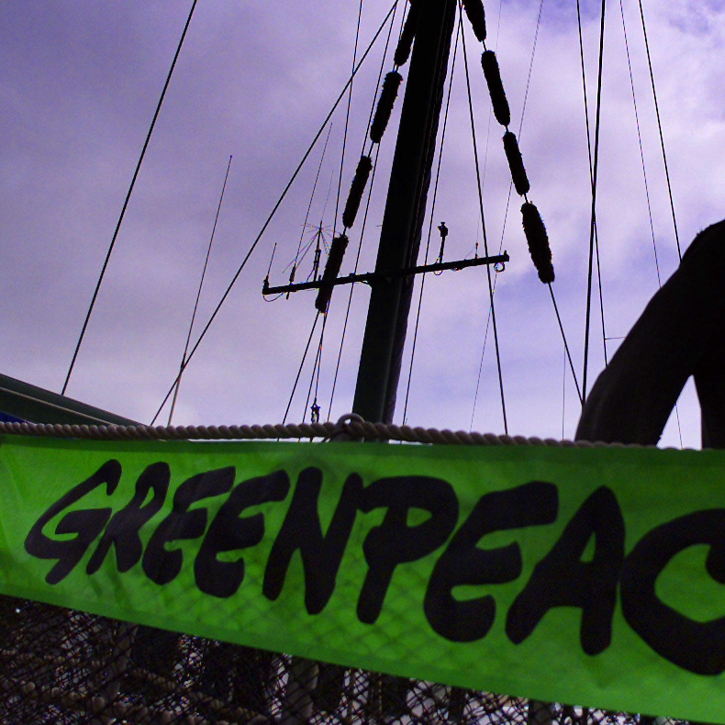 It Fought to Save the Whales. Can Greenpeace Save Itself?