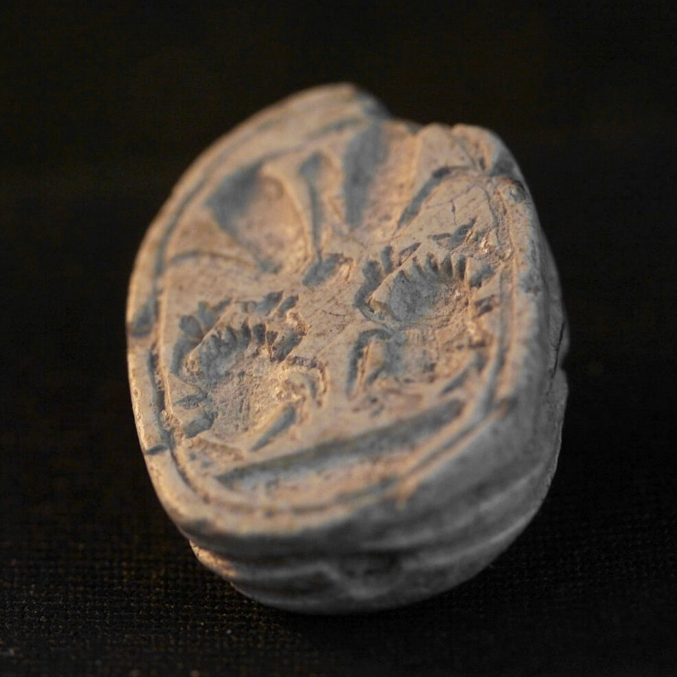 ‘It Had Teeth’: A 3-Year-Old Discovers Ancient Treasure in Israel