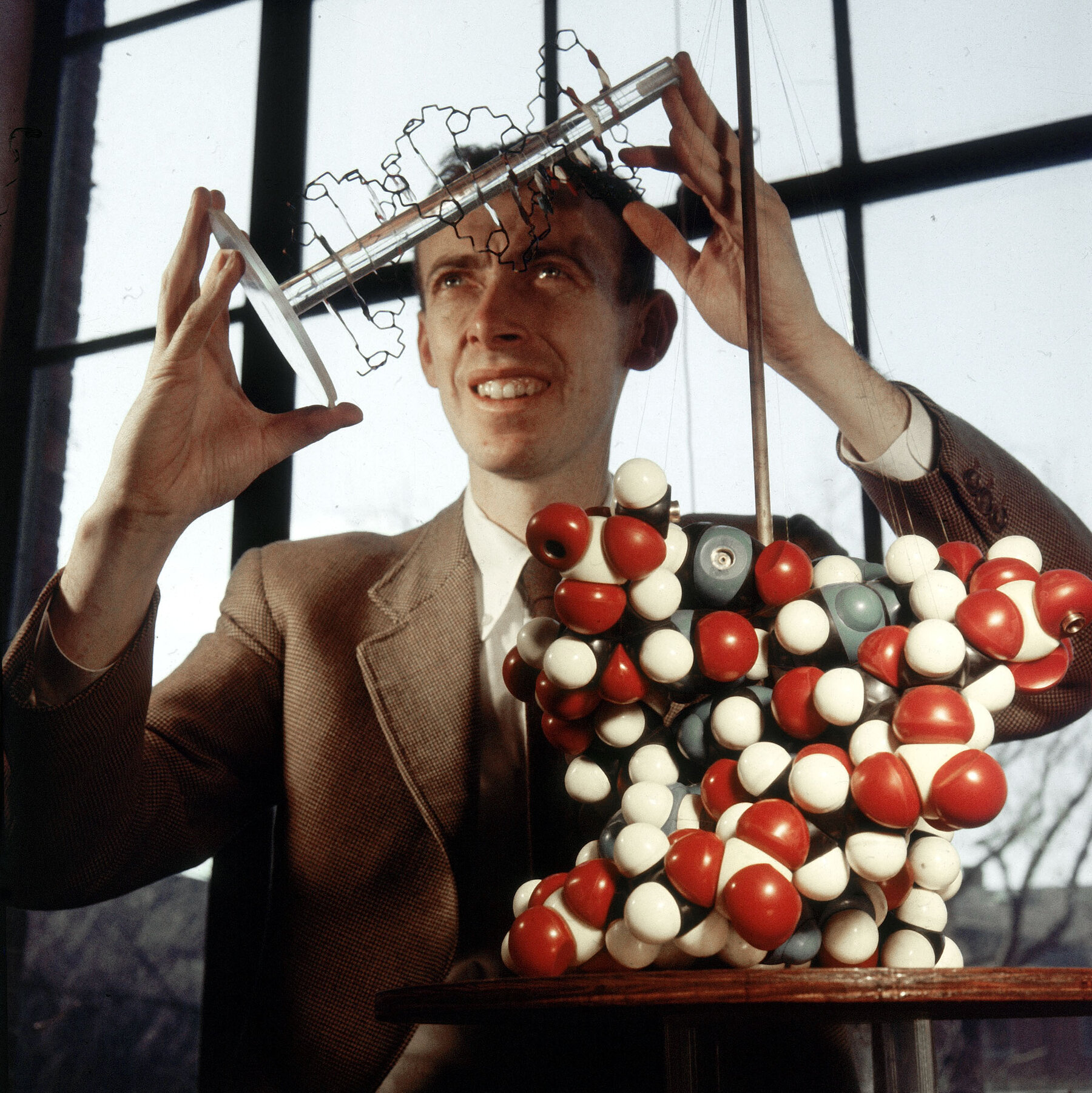 James Watson Saw the True Form of DNA. Then It Blinded Him.