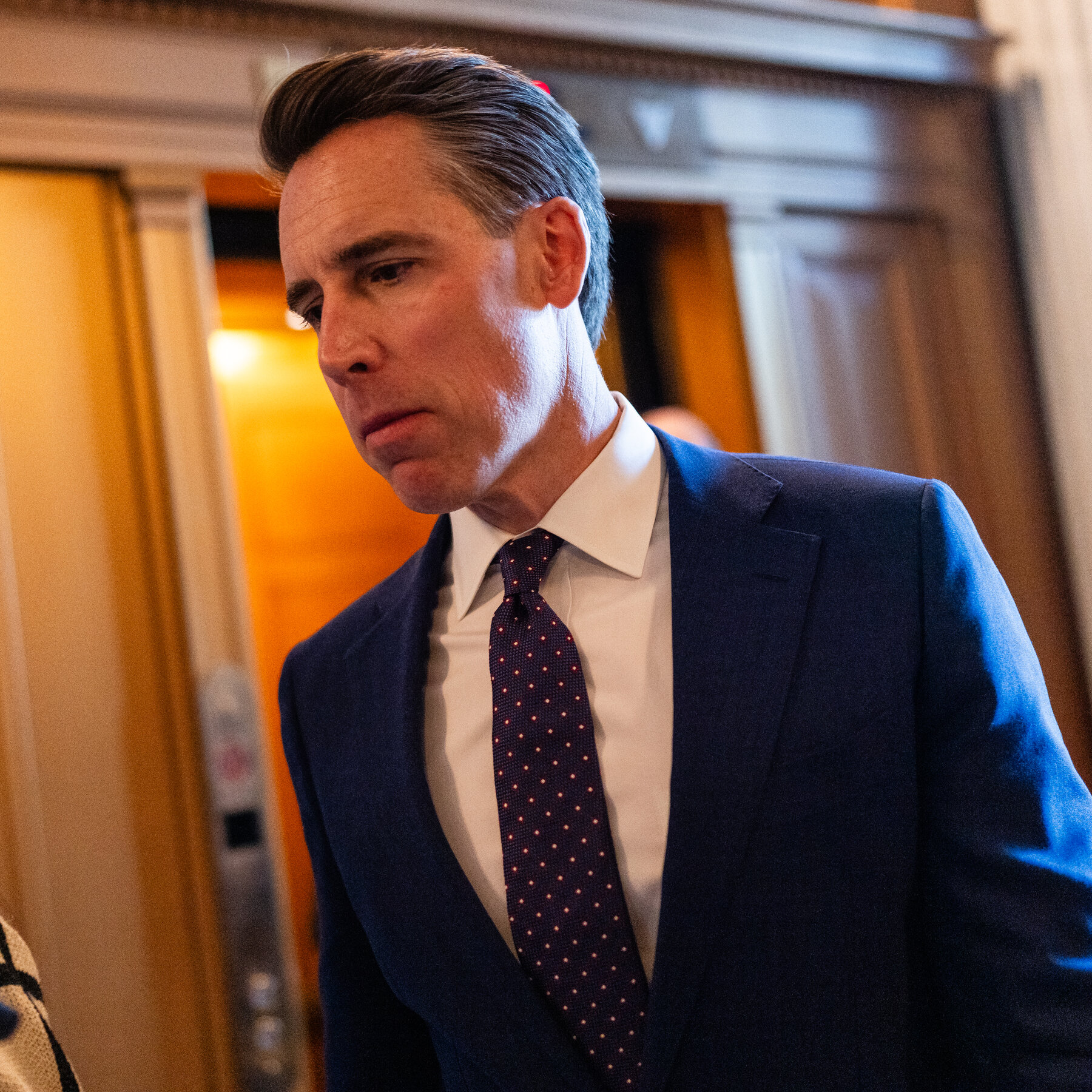 Josh Hawley and the Republican Populists, at War With Their Party