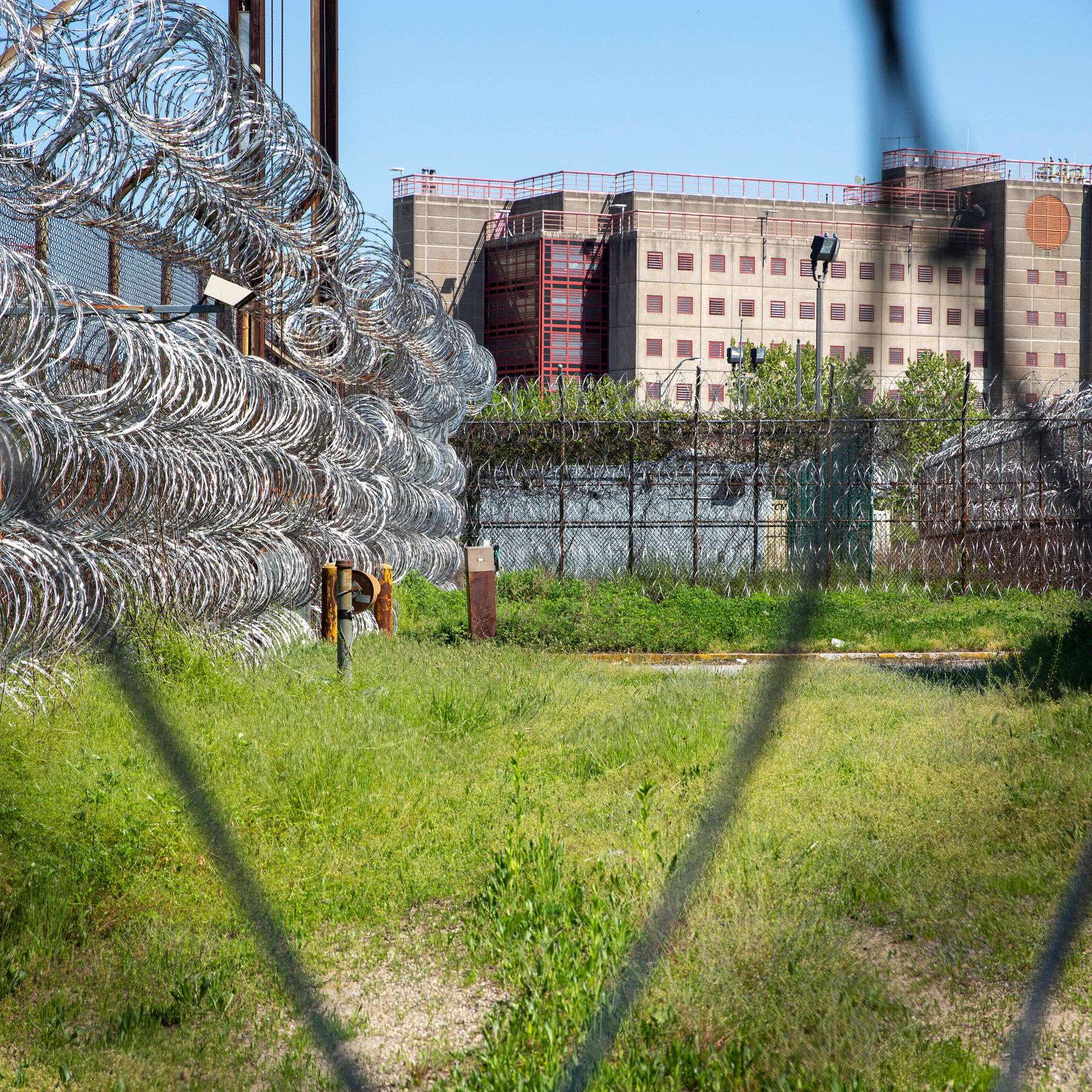 Judge Blocks ICE Plans for Rikers Island Office Indefinitely