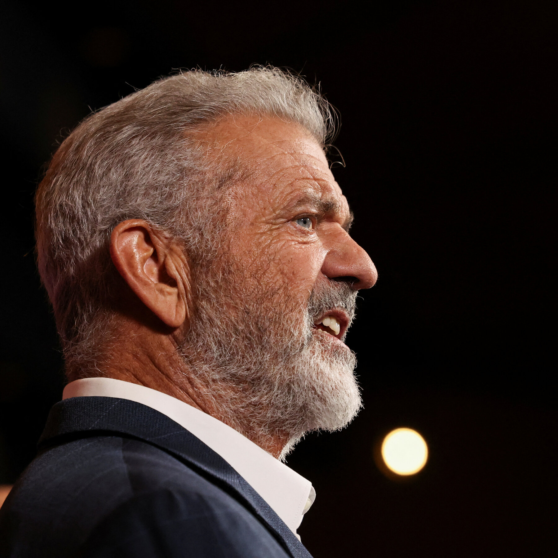 Justice Dept. Official Says She Was Fired After Opposing Restoring Mel Gibson’s Gun Rights