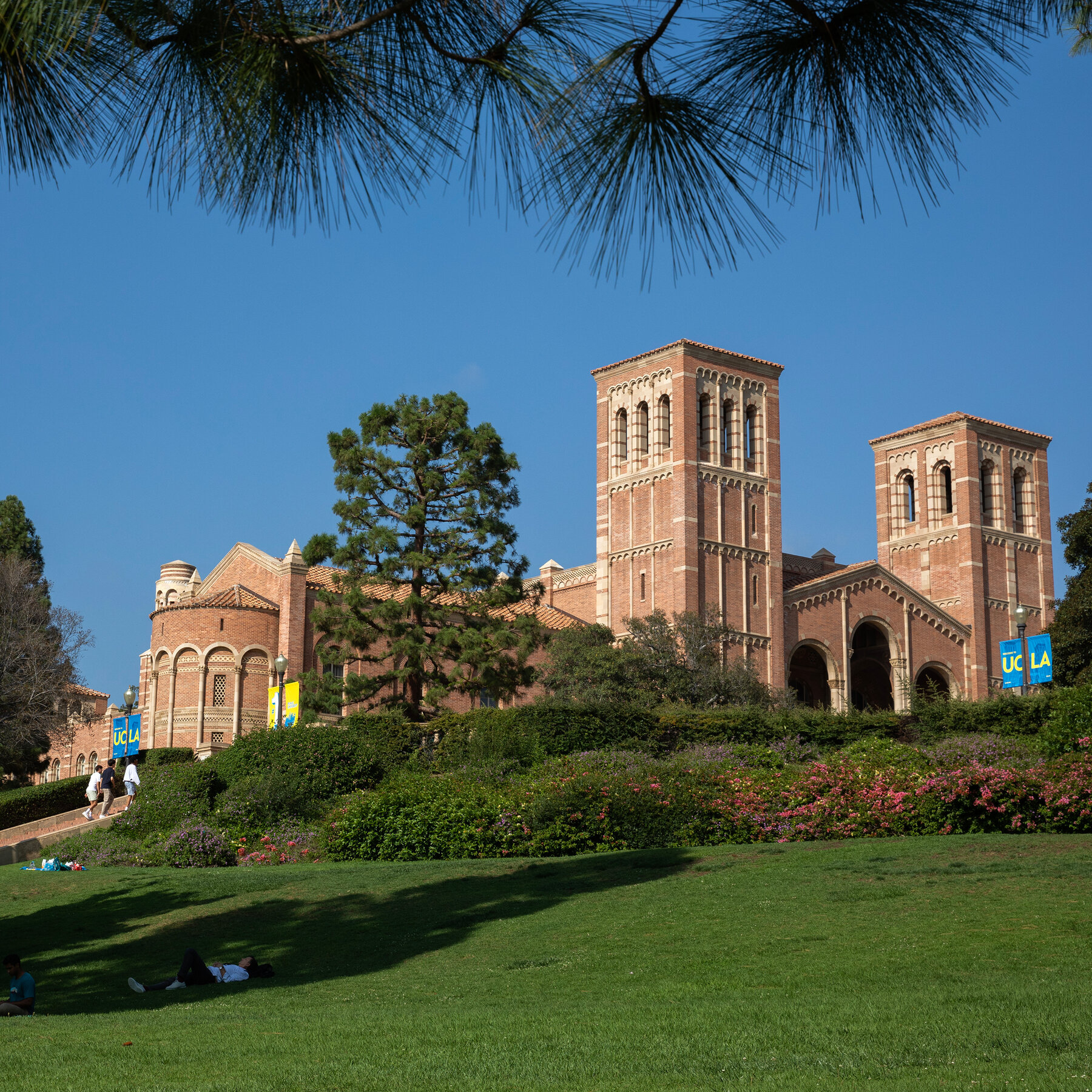 Justice Dept. Opens Inquiry Into University of California Hiring Practices
