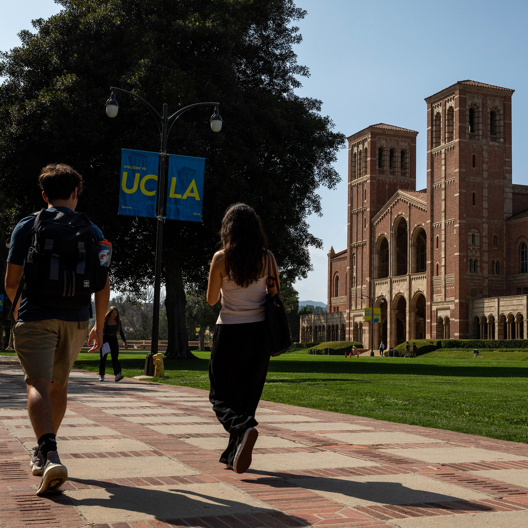 Justice Dept. Sues California Over College Benefits for Undocumented Students