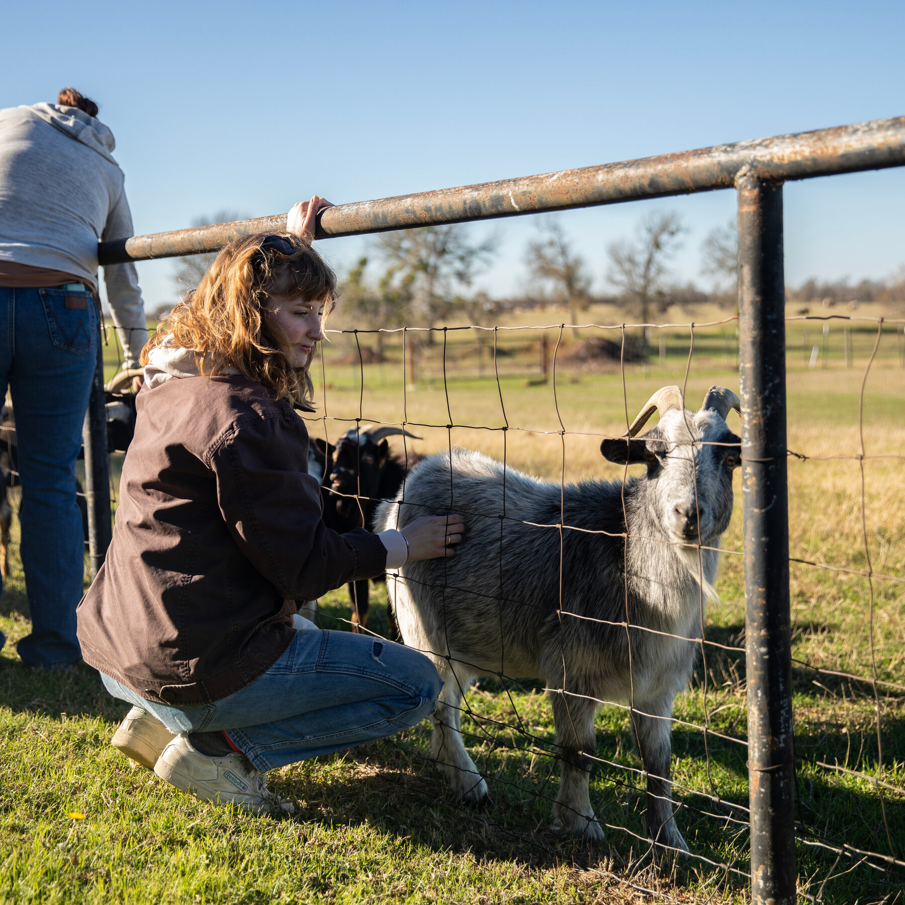 Kennedy’s Plan for the Drug Crisis: A Network of ‘Healing Farms’