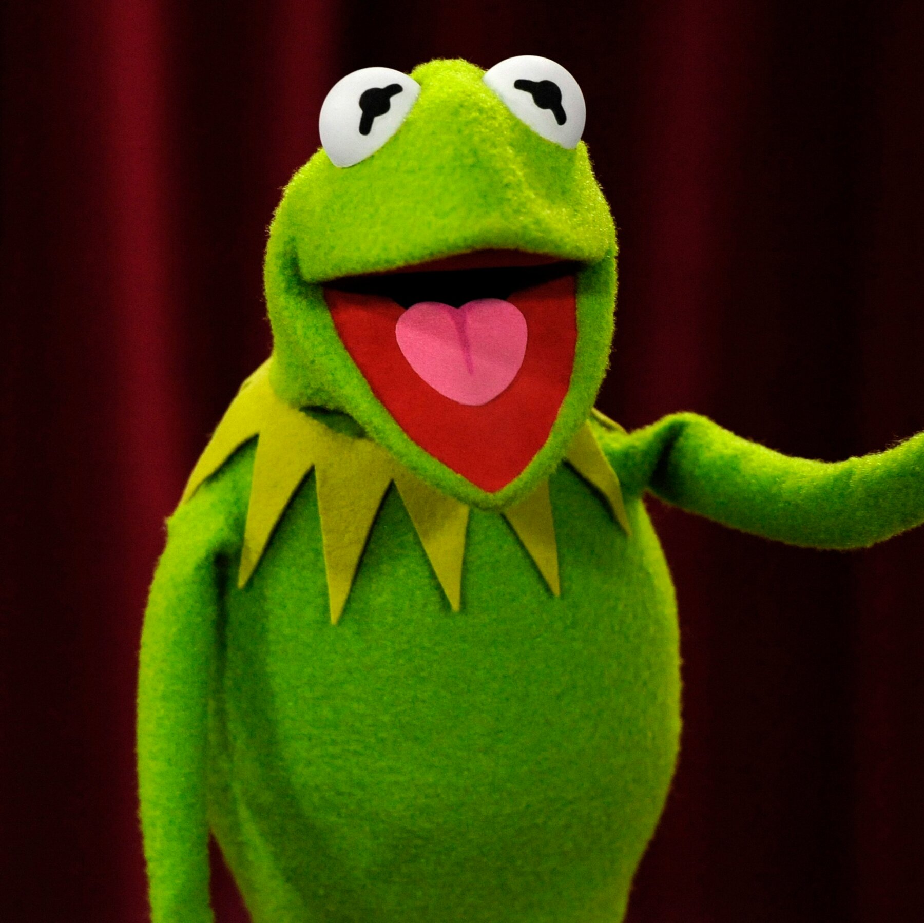Kermit the Frog Will Deliver Commencement Speech at U. of Maryland