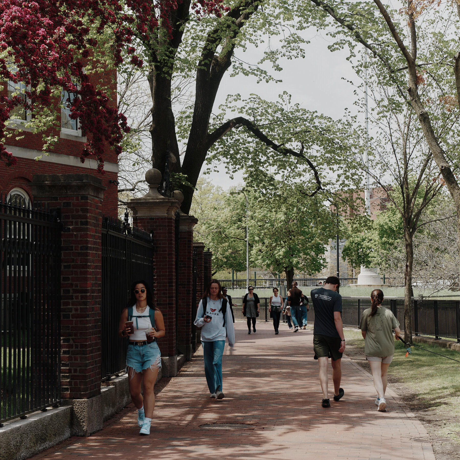 Leaving the U.S. for College or Grad School? Tell Us More.
