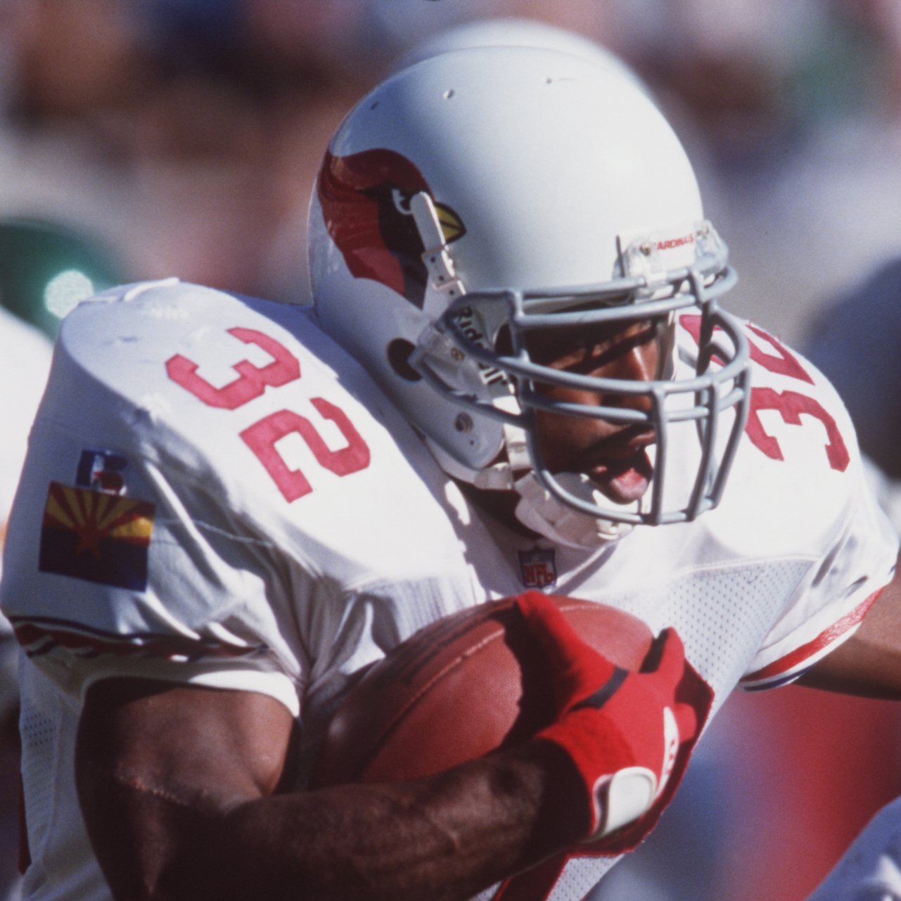 LeShon Johnson, Ex-N.F.L. Player, Is Convicted in Major Dogfighting Case