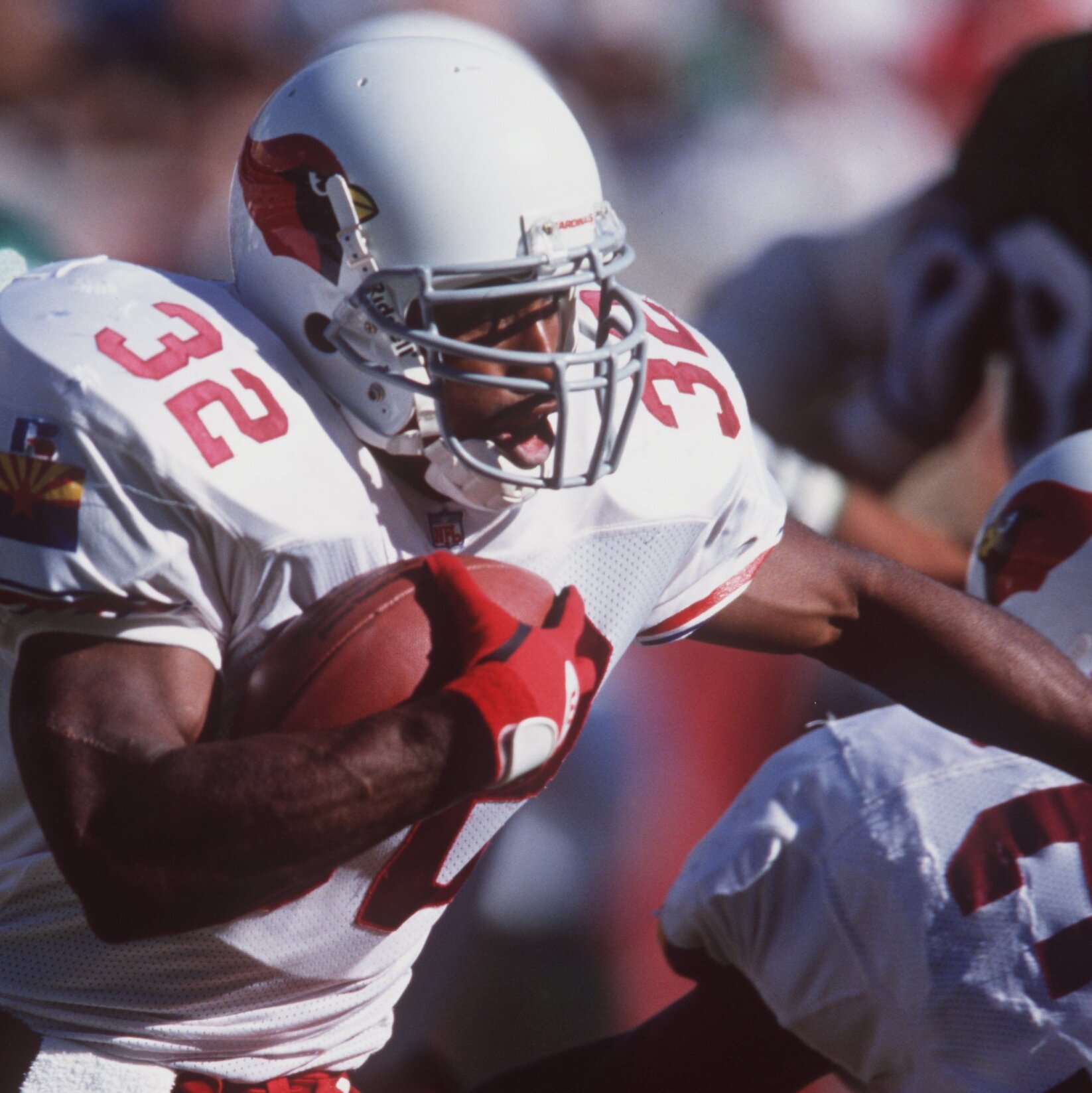 LeShon Johnson, Ex-N.F.L. Running Back, Ran Major Dogfighting Kennel, U.S. Says