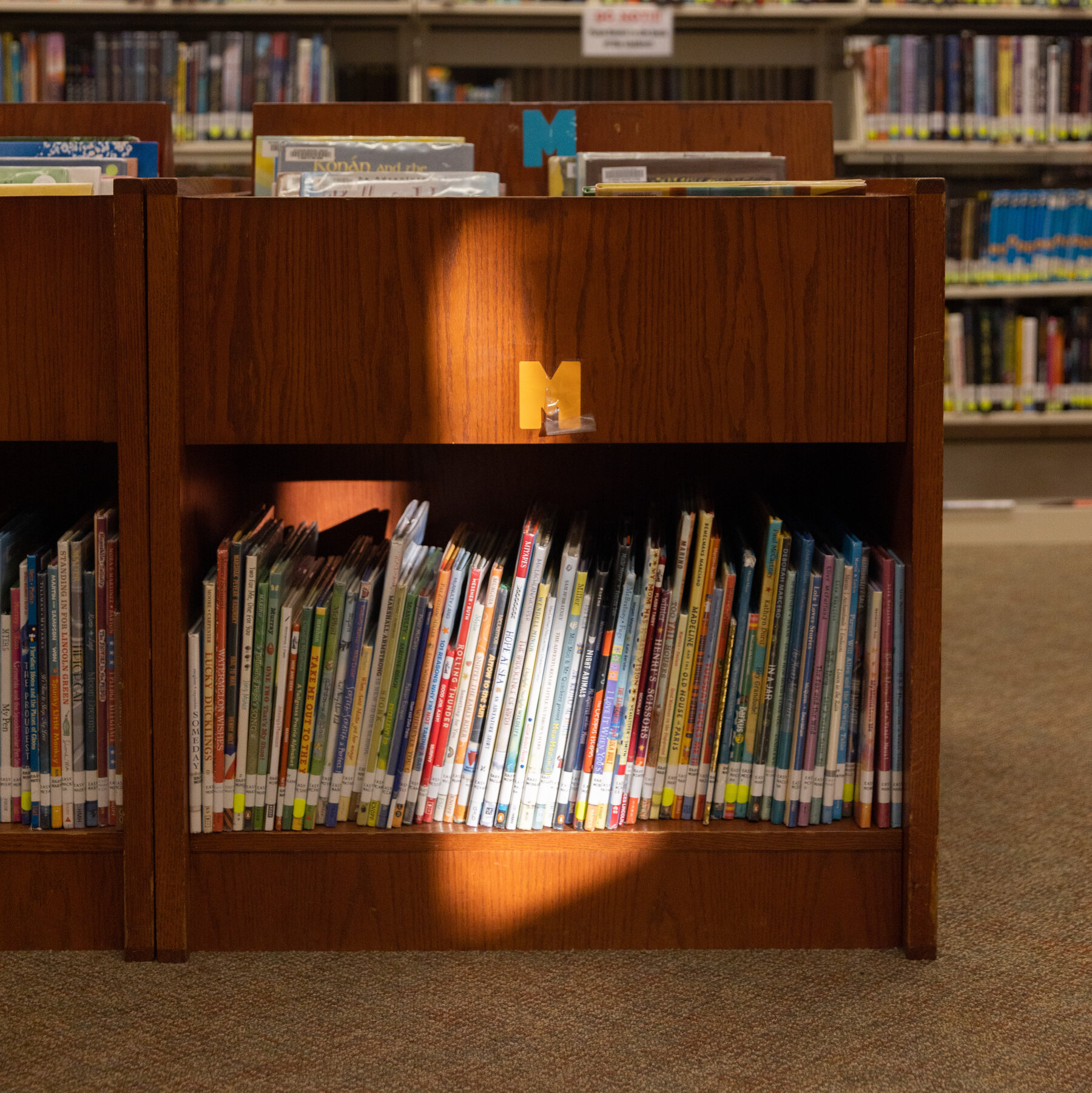 Library Advocates Rally as Trump Targets Federal Funding