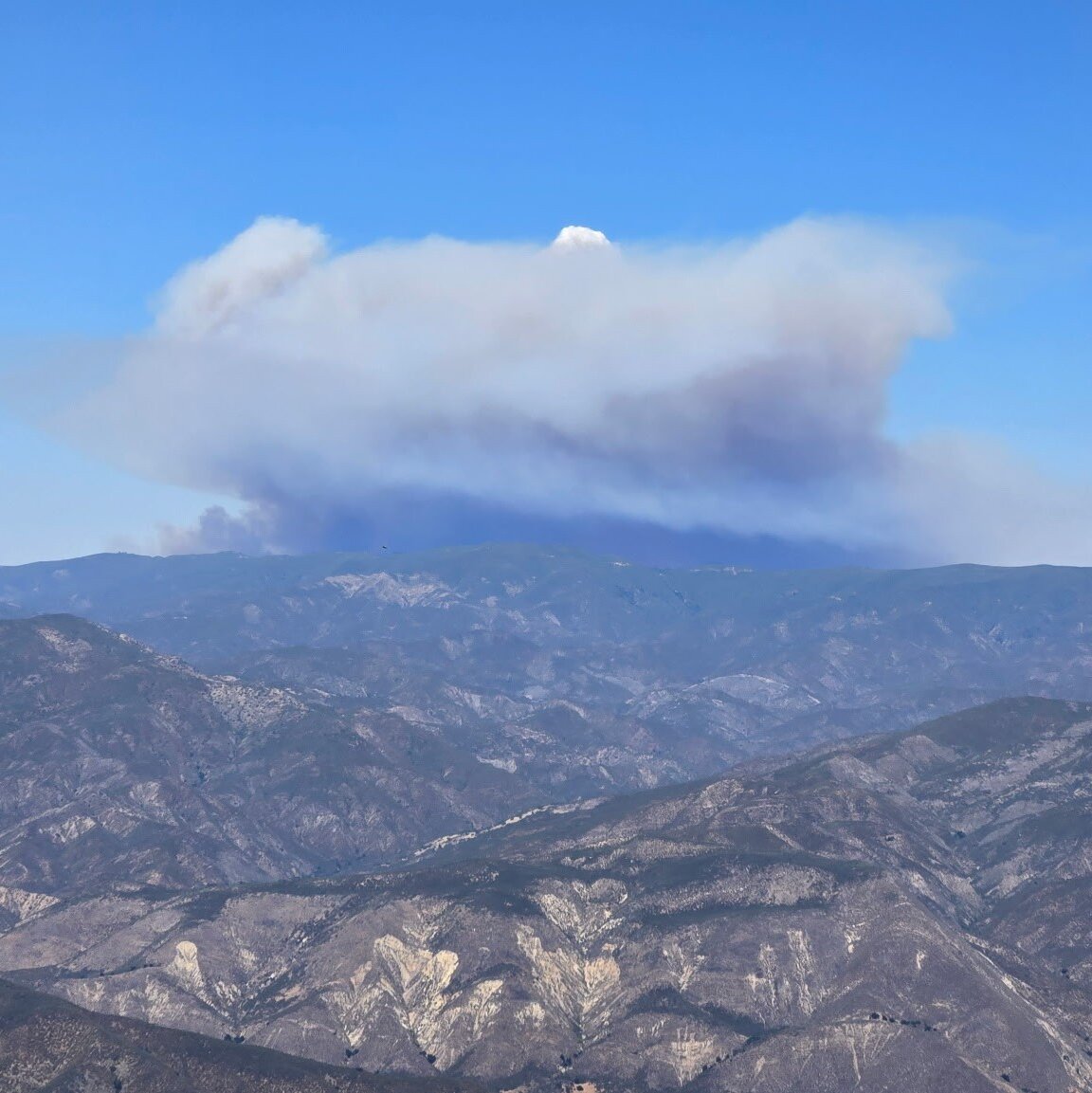 Madre Fire Explodes to 35,000 Acres, Becoming California’s Largest This Year