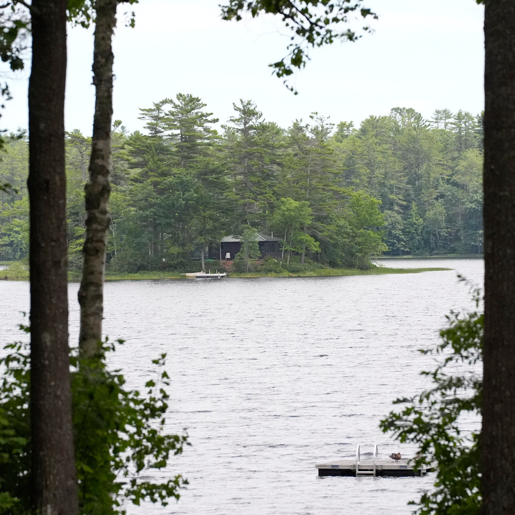 Maine Paddleboarder’s Death Is Investigated as a Homicide, Police Say