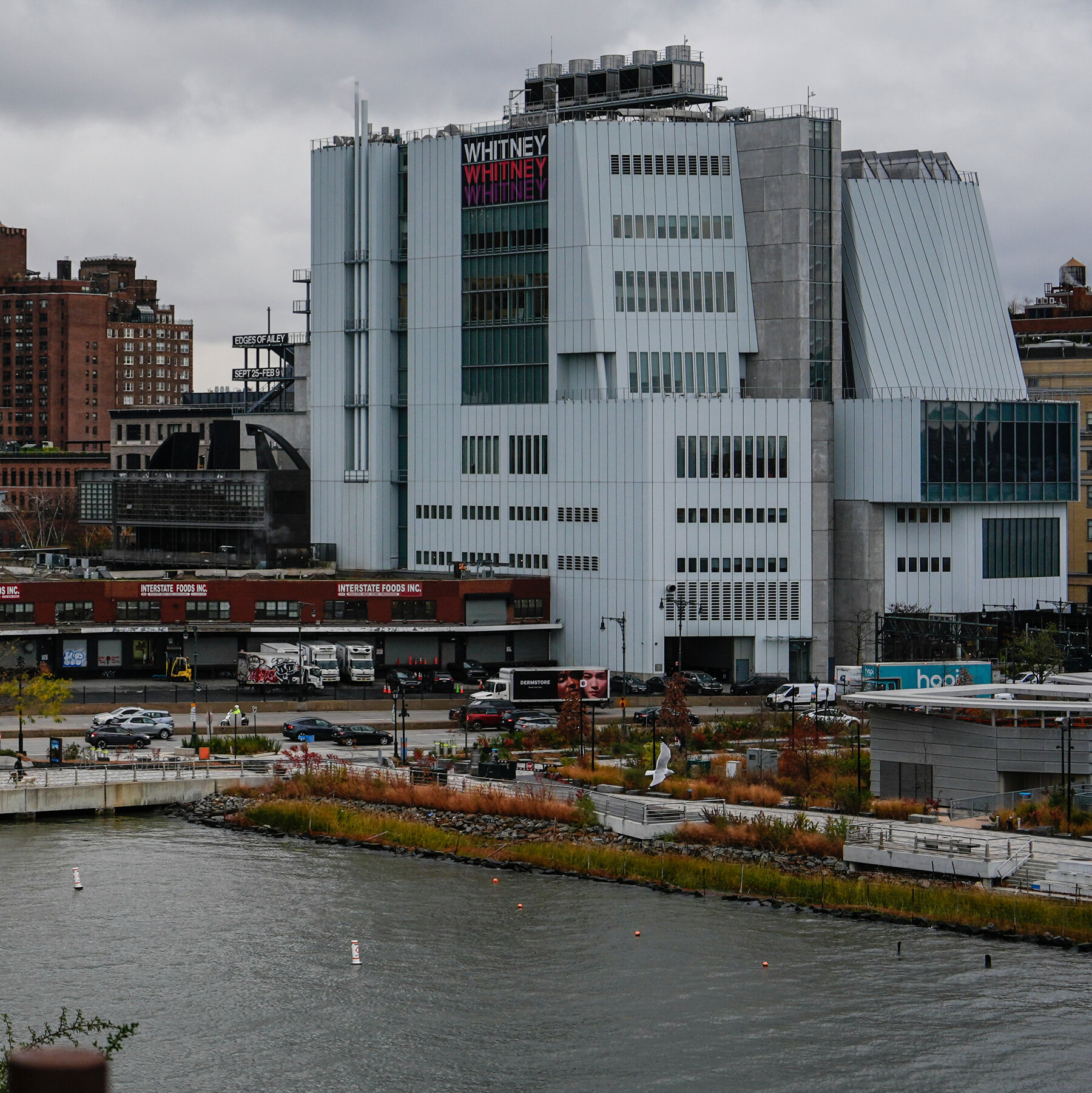 Man Dies After Apparent Fall From Whitney Museum