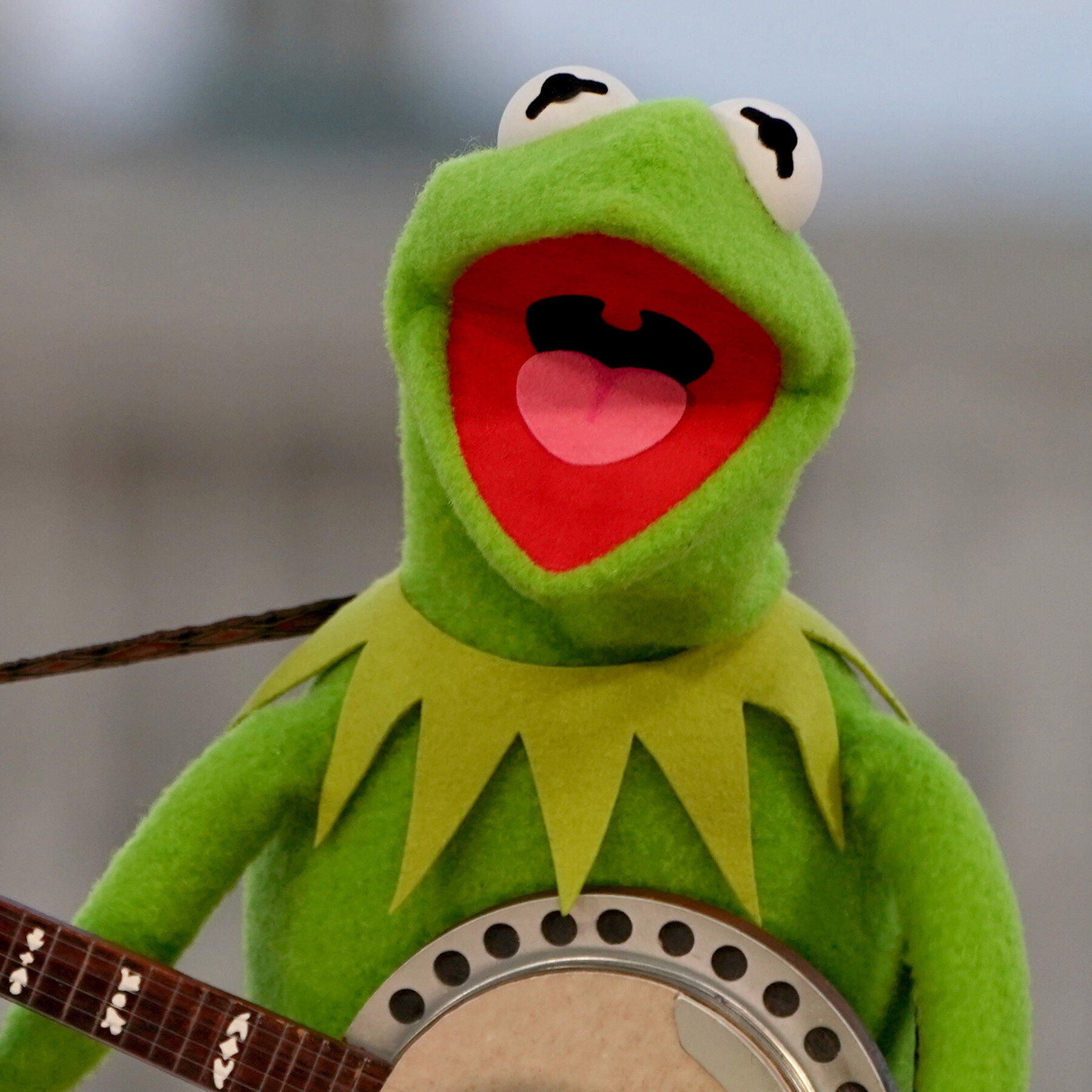Maryland’s Kermit the Frog Commencement Choice Gets Mixed Reaction From Students