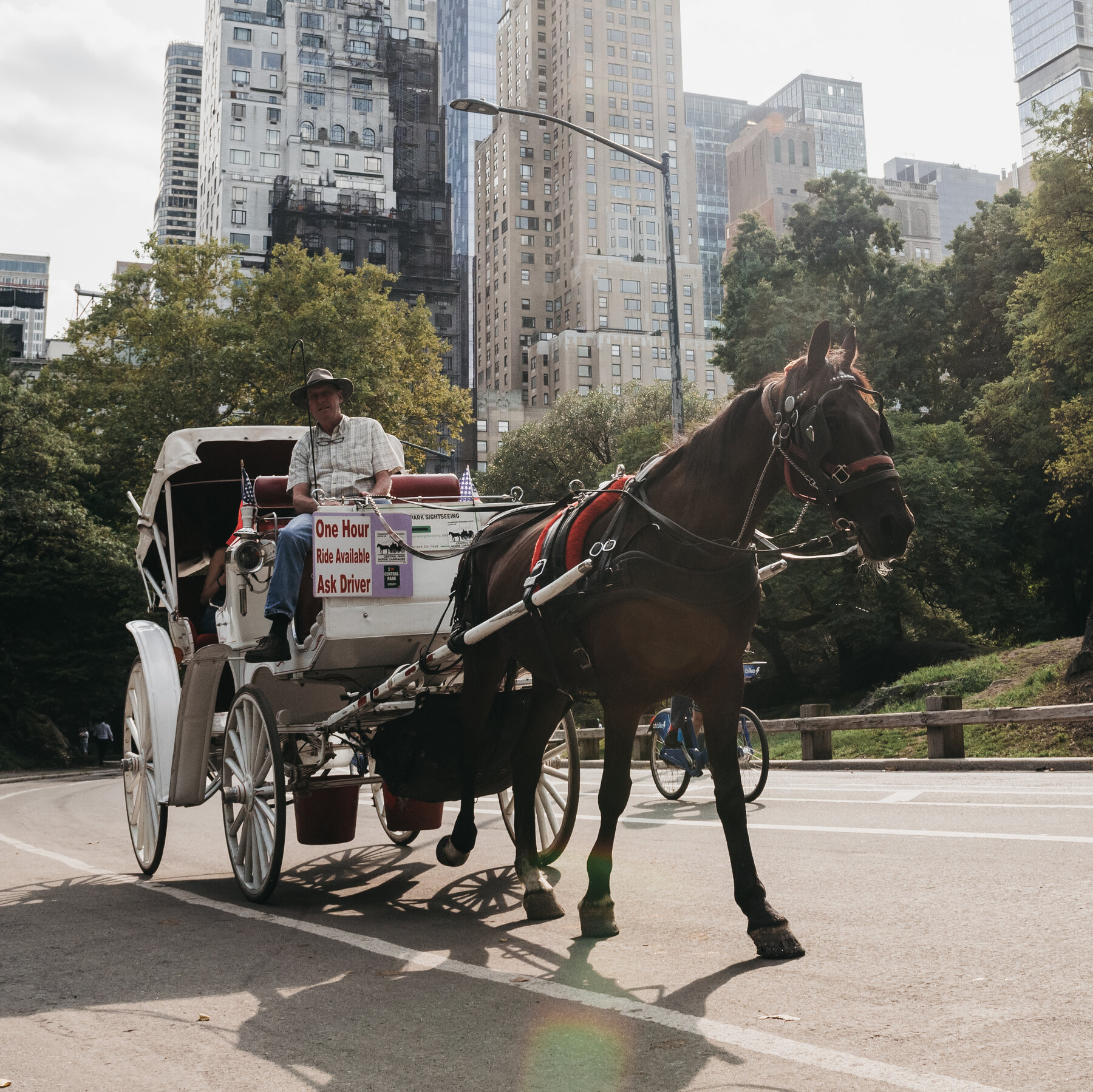 Mayor Adams Joins Growing Call to Ban Carriage Horses in New York City