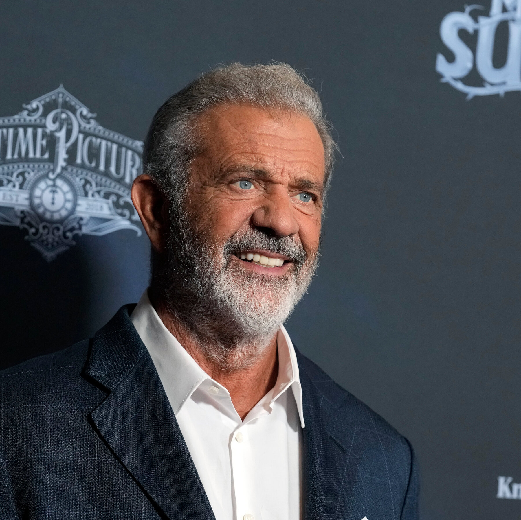 Mel Gibson’s Gun Was Taken Away Over a Misdemeanor. Here’s Why.