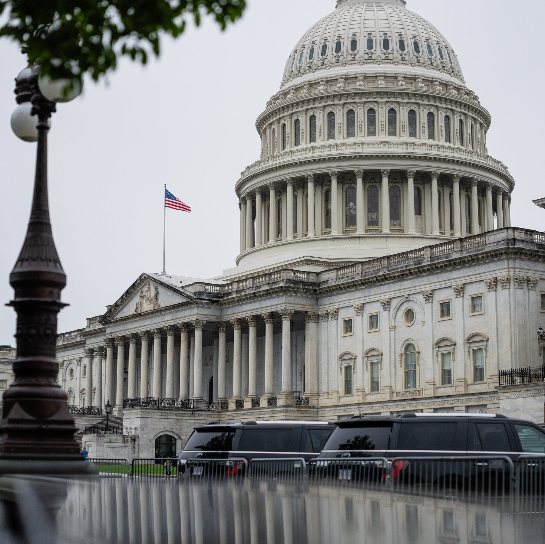 Members of Congress Press for More Security After Minnesota Attacks