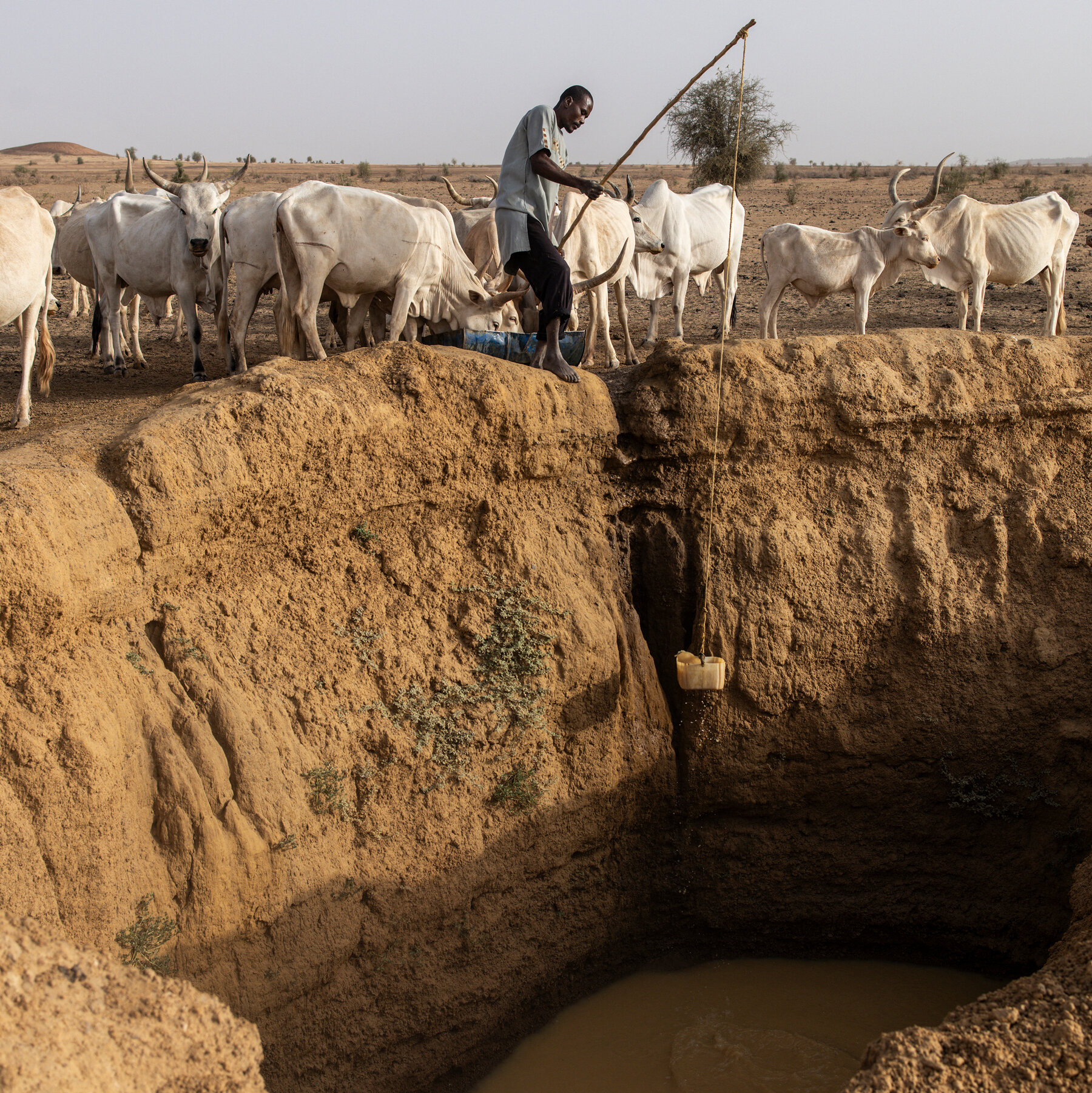 Money to Help Nations Cope With Climate Disasters Is Declining, U.N. Says