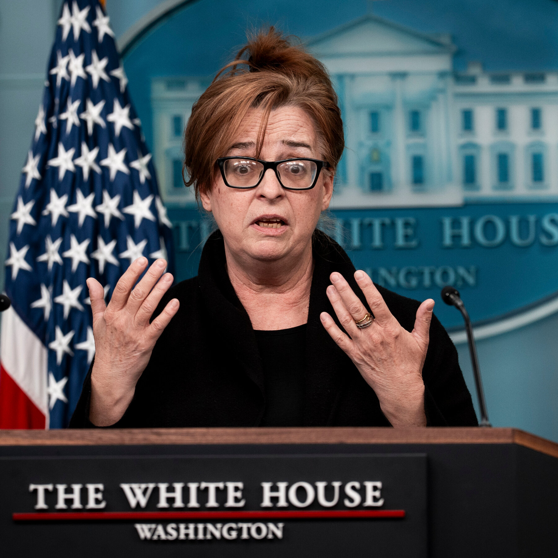 Mother of Woman Killed by Immigrant Speaks at White House Briefing