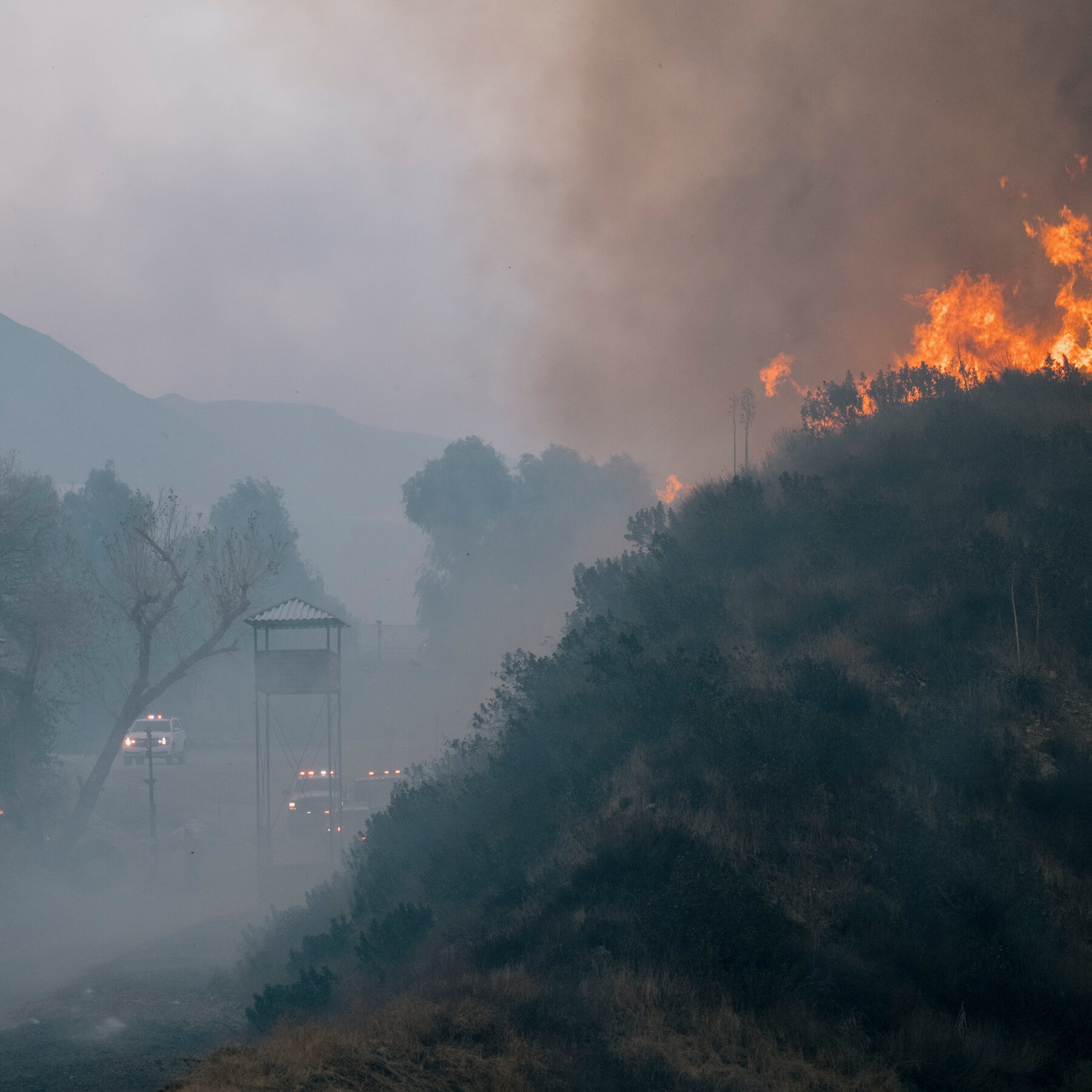 New Brush Fire Breaks Out in L.A., Threatening Area Near U.C.L.A.