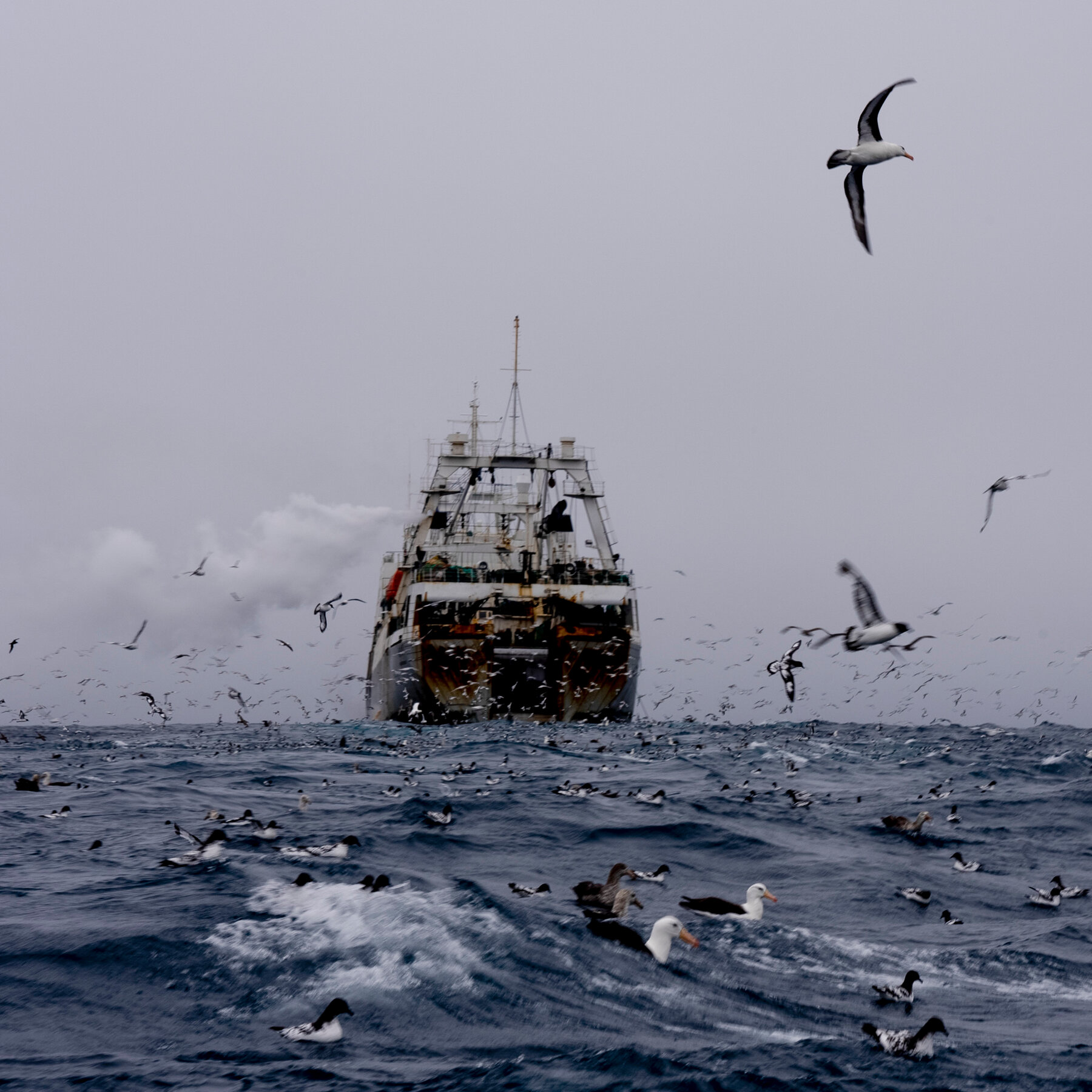 New Data Shows Untraceable Fishing Fleets in Marine Protected Areas