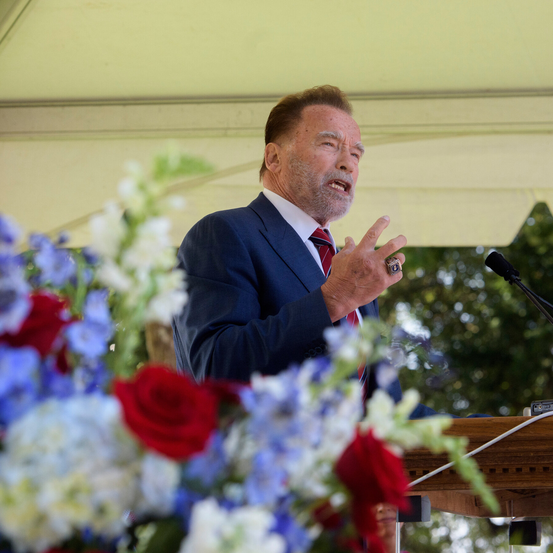 Newsom Wants to Gerrymander California. Schwarzenegger May Disagree.