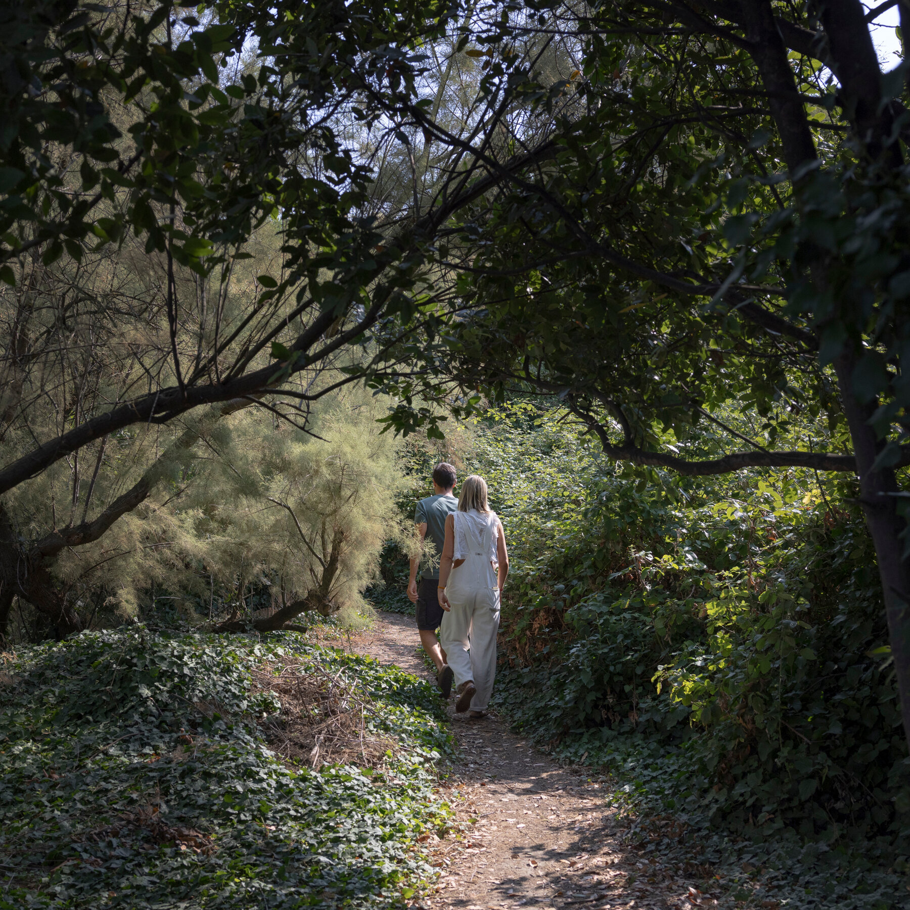 No Running Water and No Electricity, but for Some Venetians, This Island Is Paradise