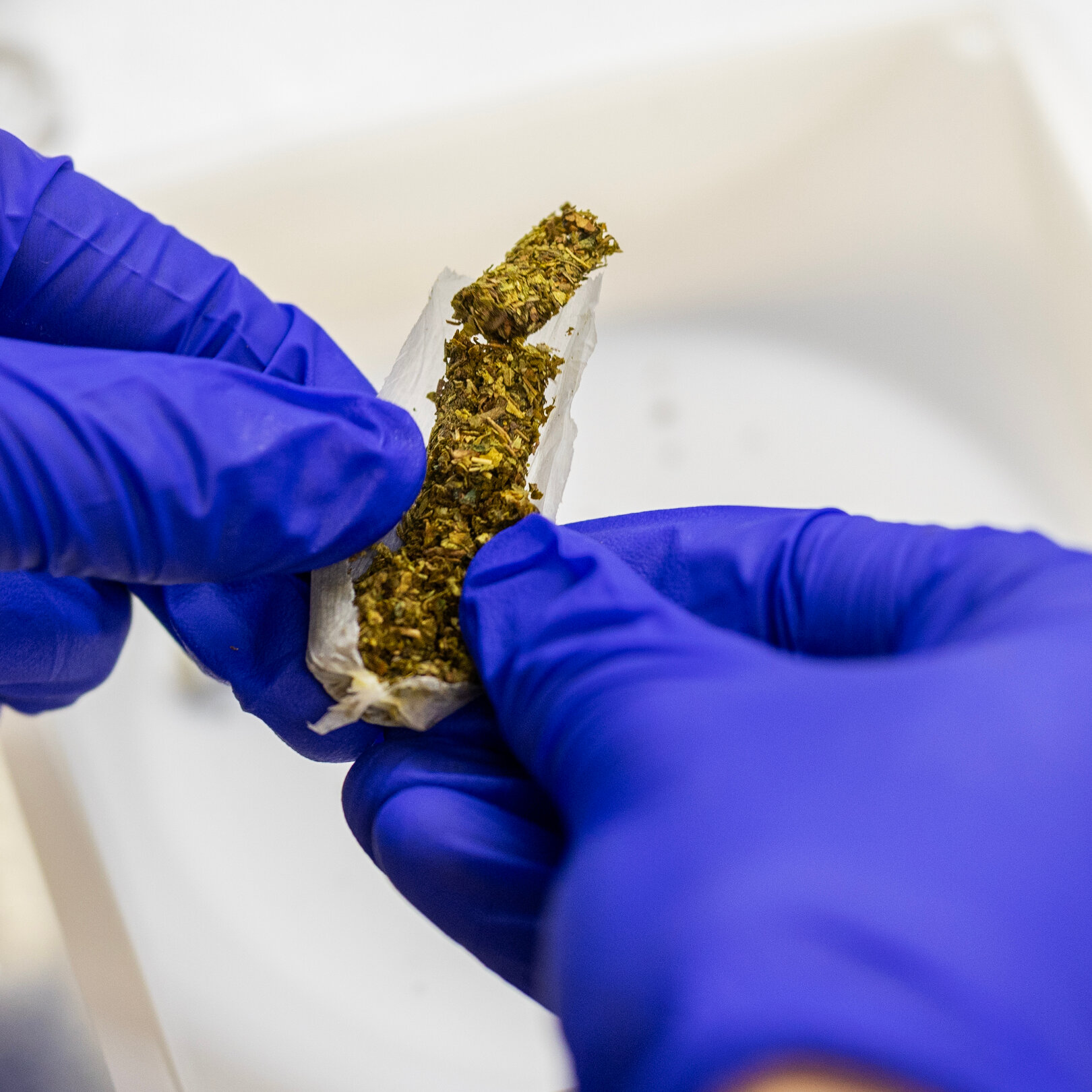 N.Y. Regulators Move to Fine Cannabis Testing Lab Over Safety Violations