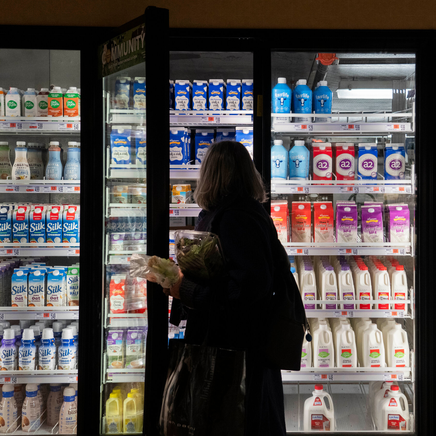 N.Y.C. Grocery Prices Are High. Could City-Owned Stores Help?