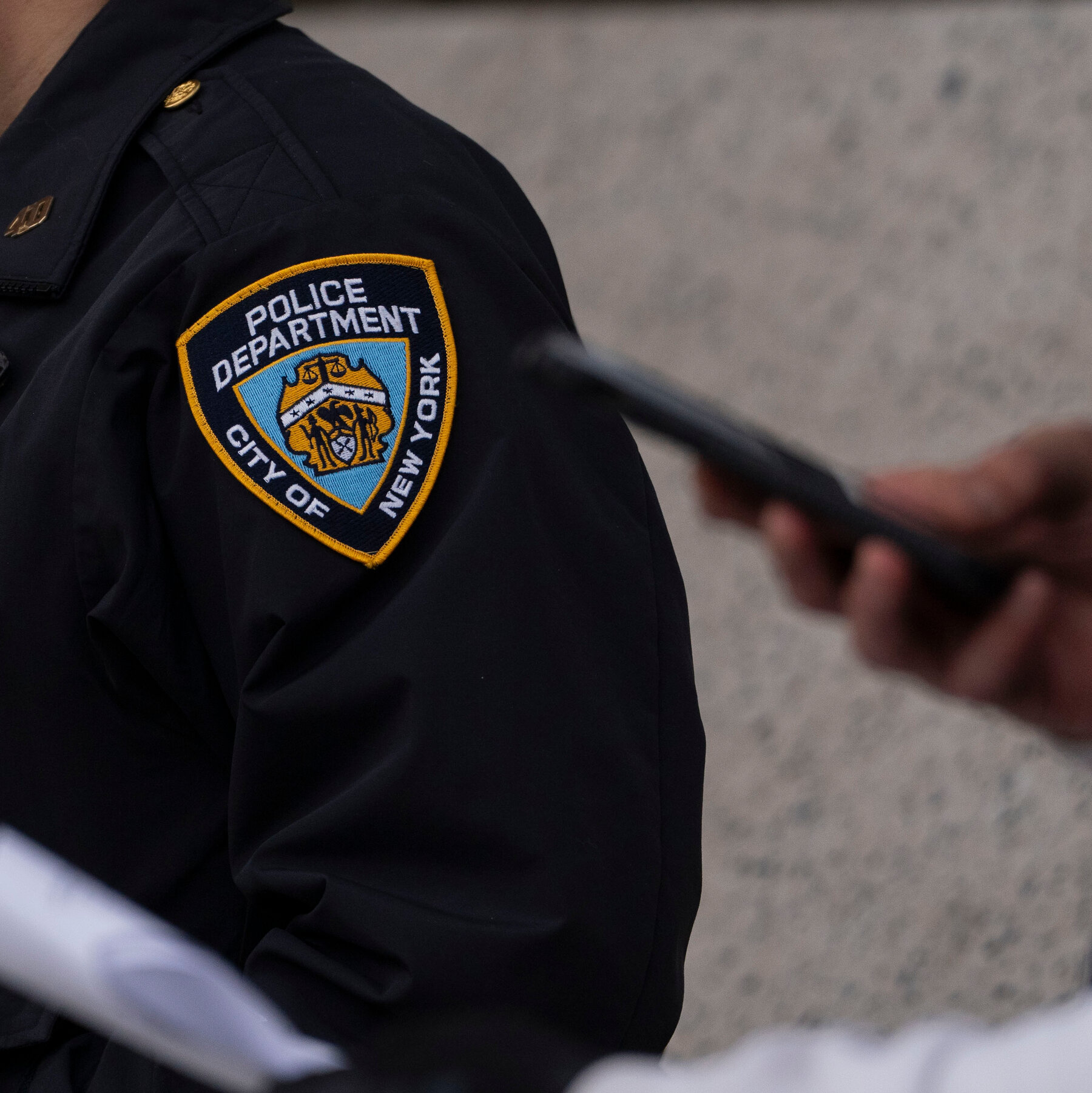 N.Y.C. Watchdog Agency Is Investigating Deaths in Police Custody