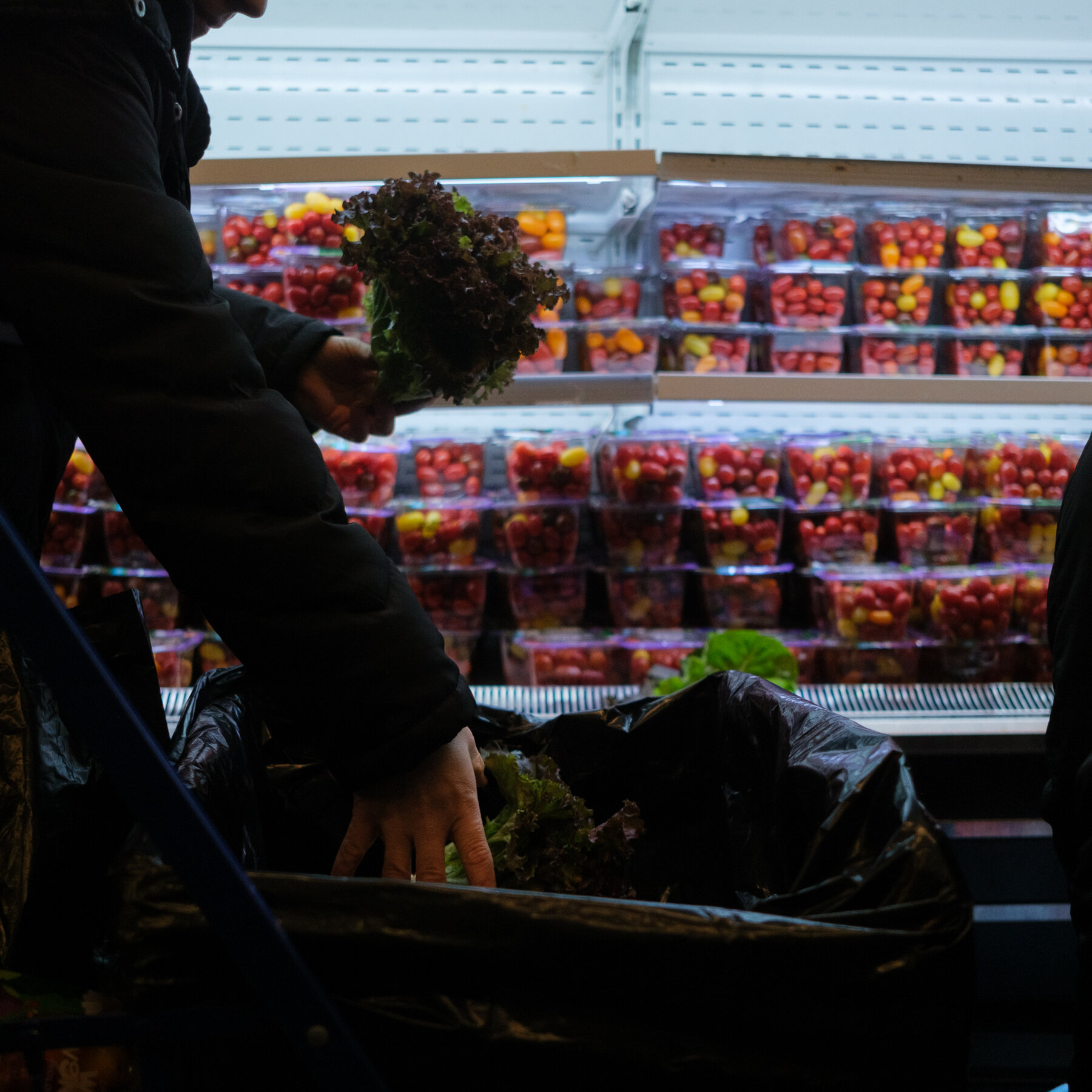 Older New Yorkers Brace for Food Stamp Cuts: ‘I’m Just Praying’