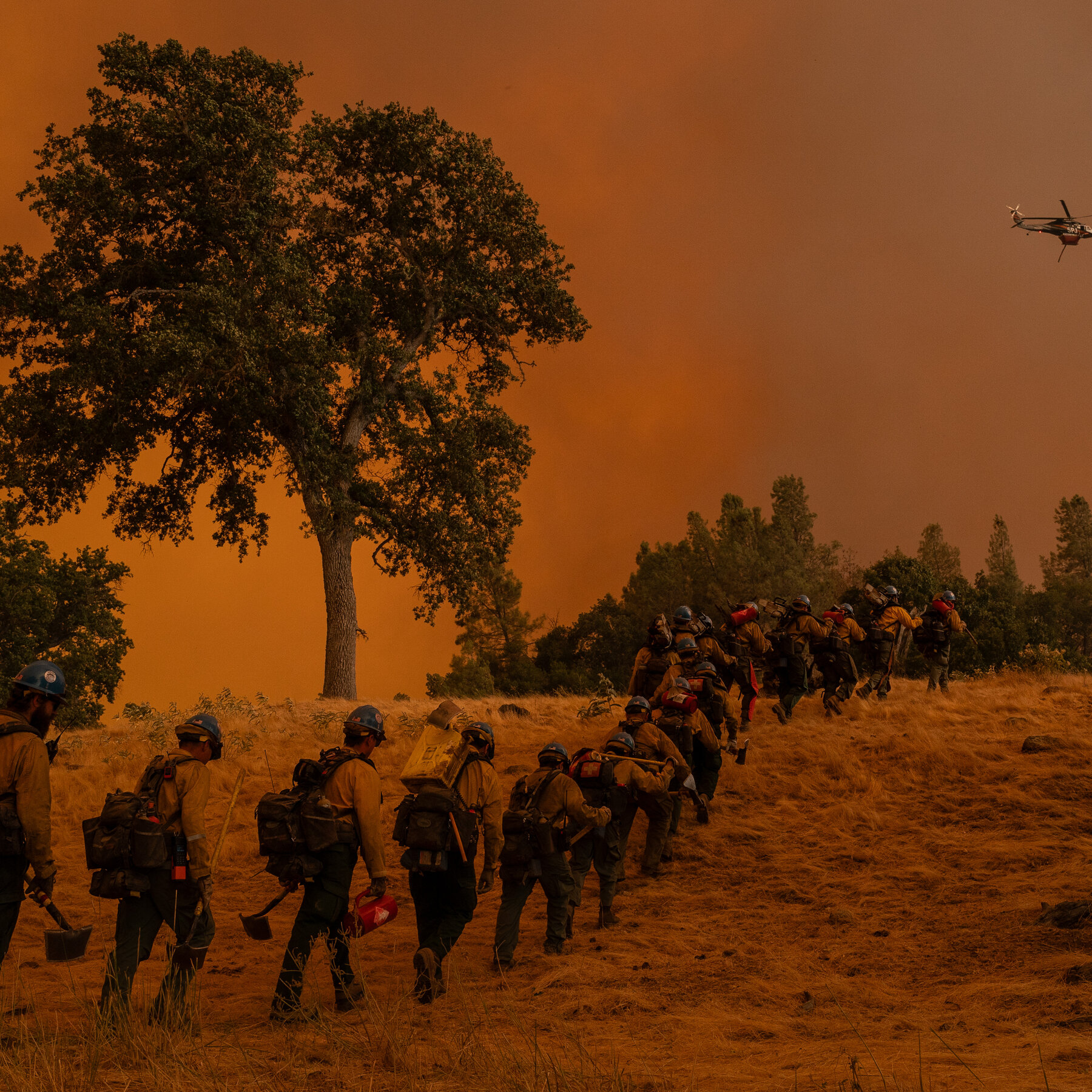 On the Front Lines of Climate Change, Firefighters Are Getting Very Sick