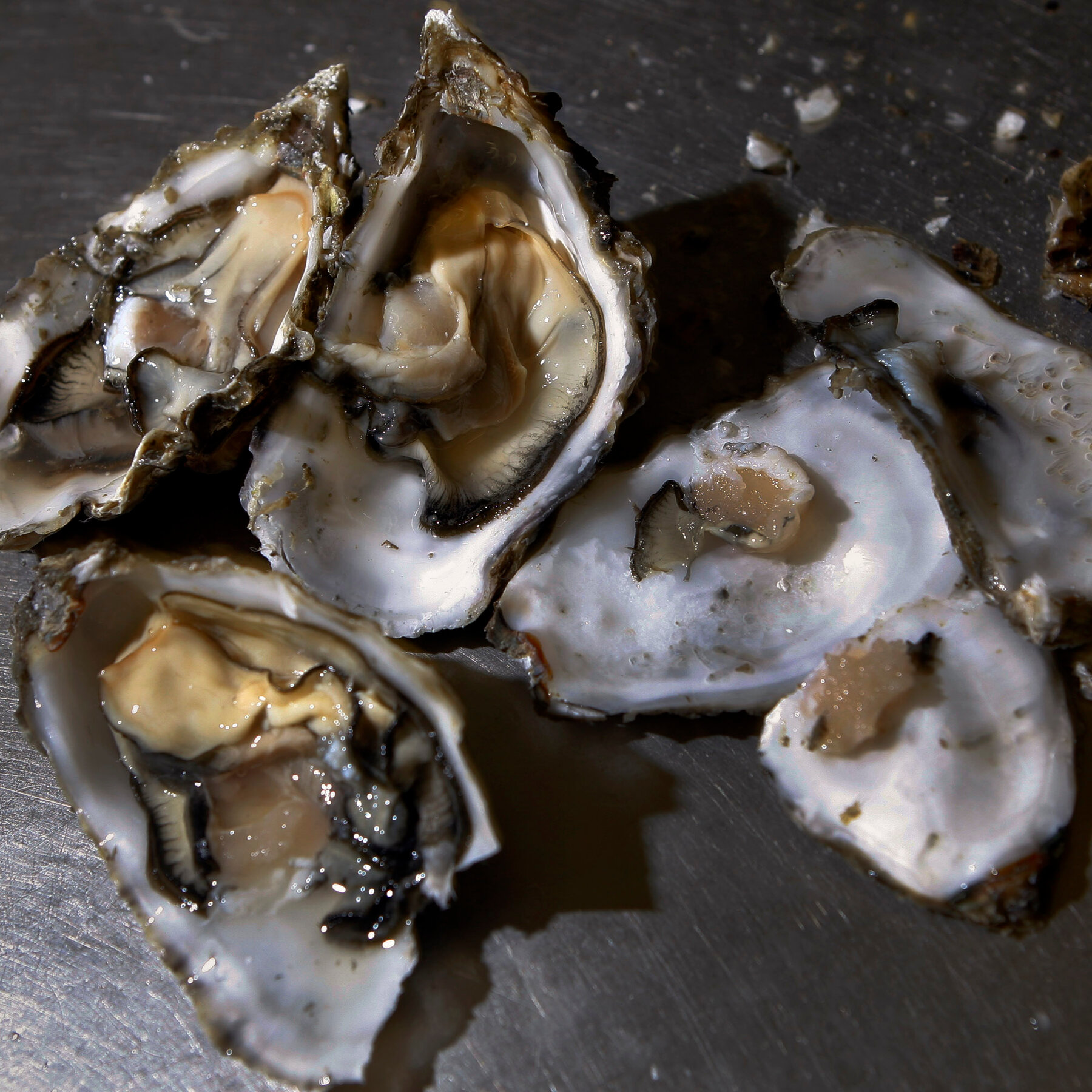 Oysters Sicken at Least 80 at Restaurant Event in Los Angeles, Officials Say
