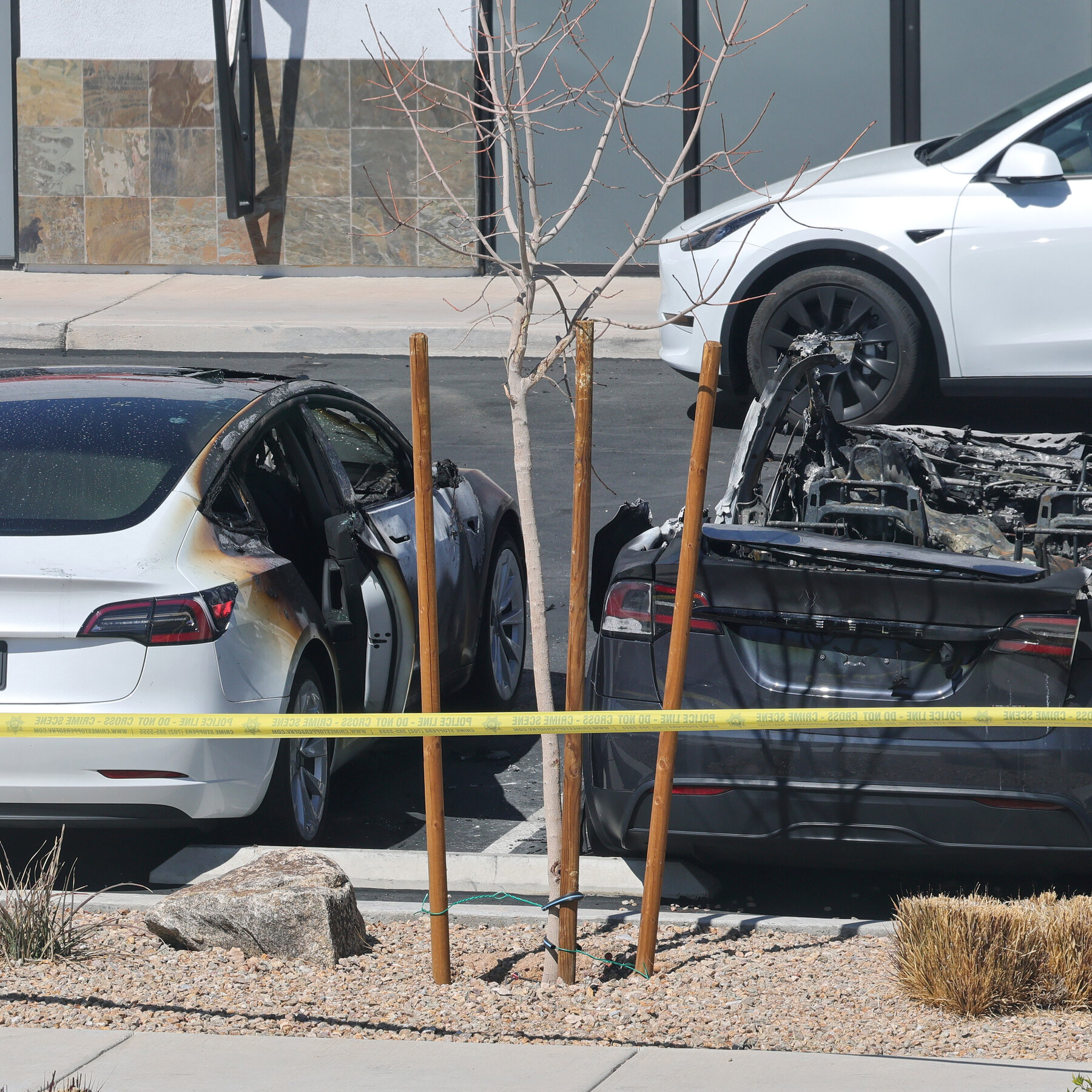 Pam Bondi Calls Tesla Vandalism ‘Domestic Terrorism,’ Promising Consequences