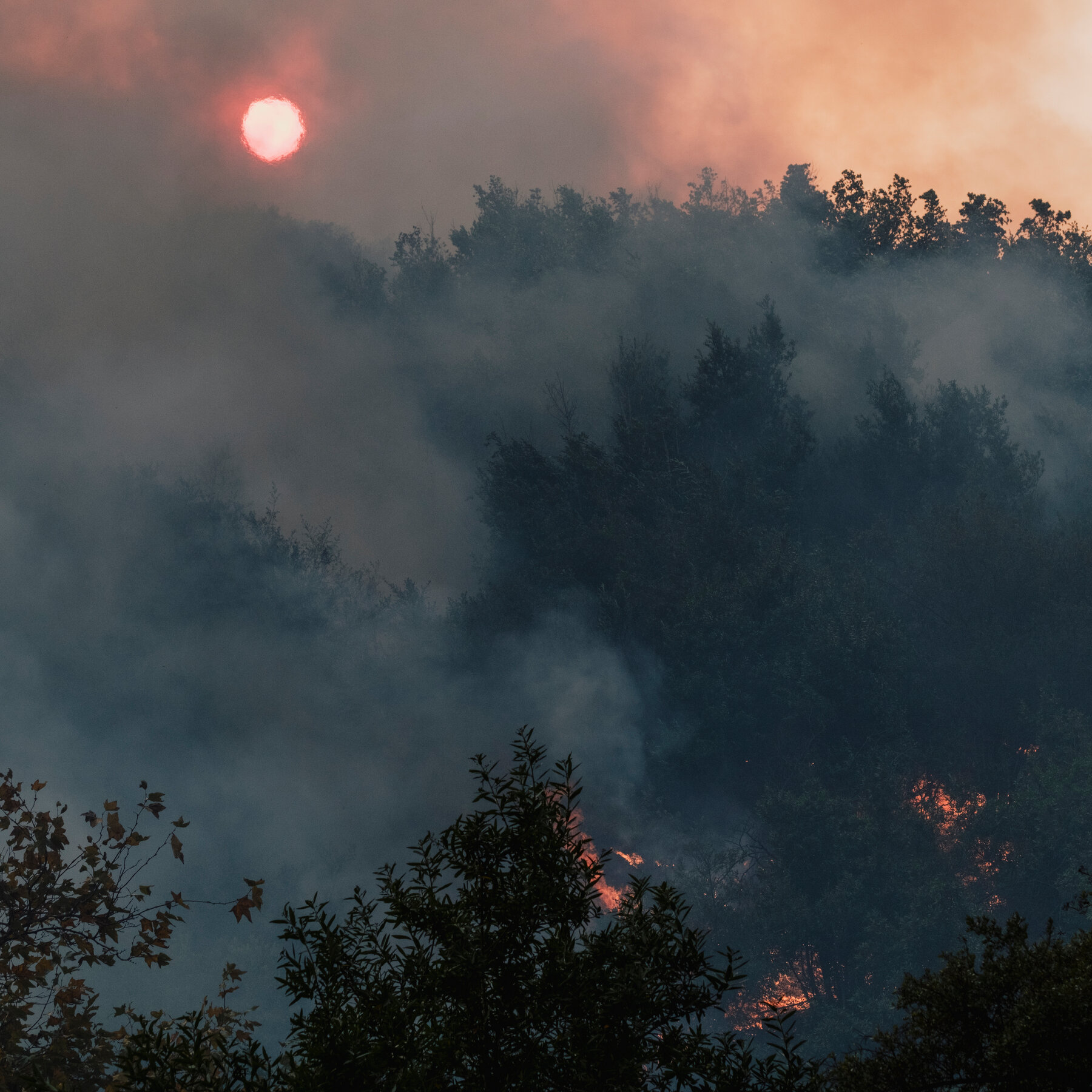Panic at Pepperdine University in Malibu as Wildfires Threaten City