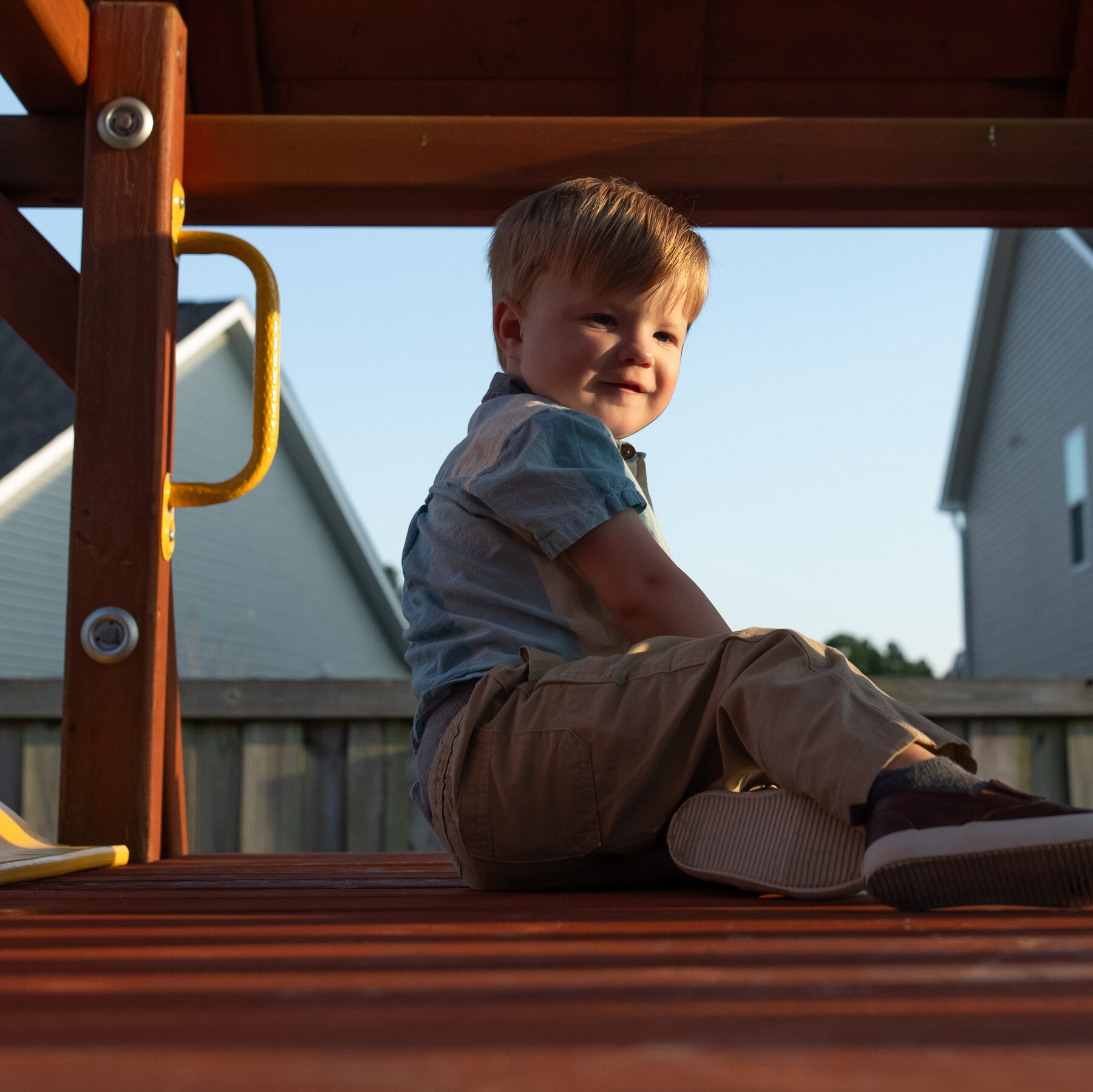 Partial Heart Transplants Show Promise