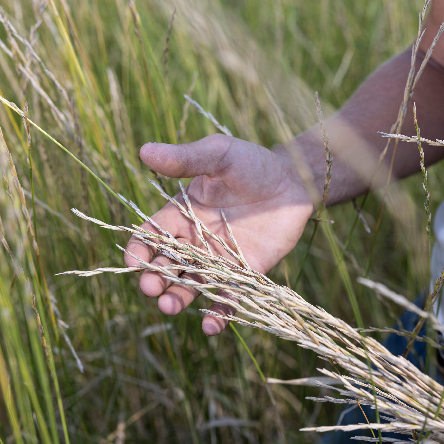 Patagonia Changed the Apparel Business. Can It Change Food, Too?