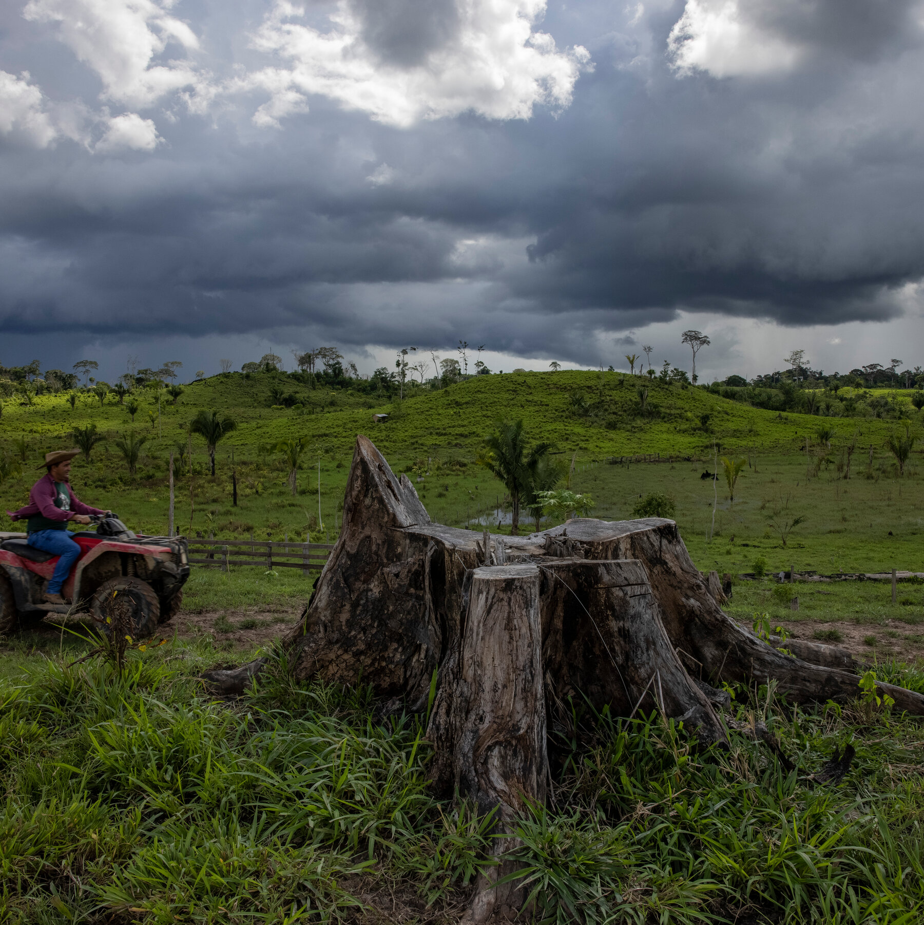 Poor Amazon Rains Linked to Brazil Deforestation