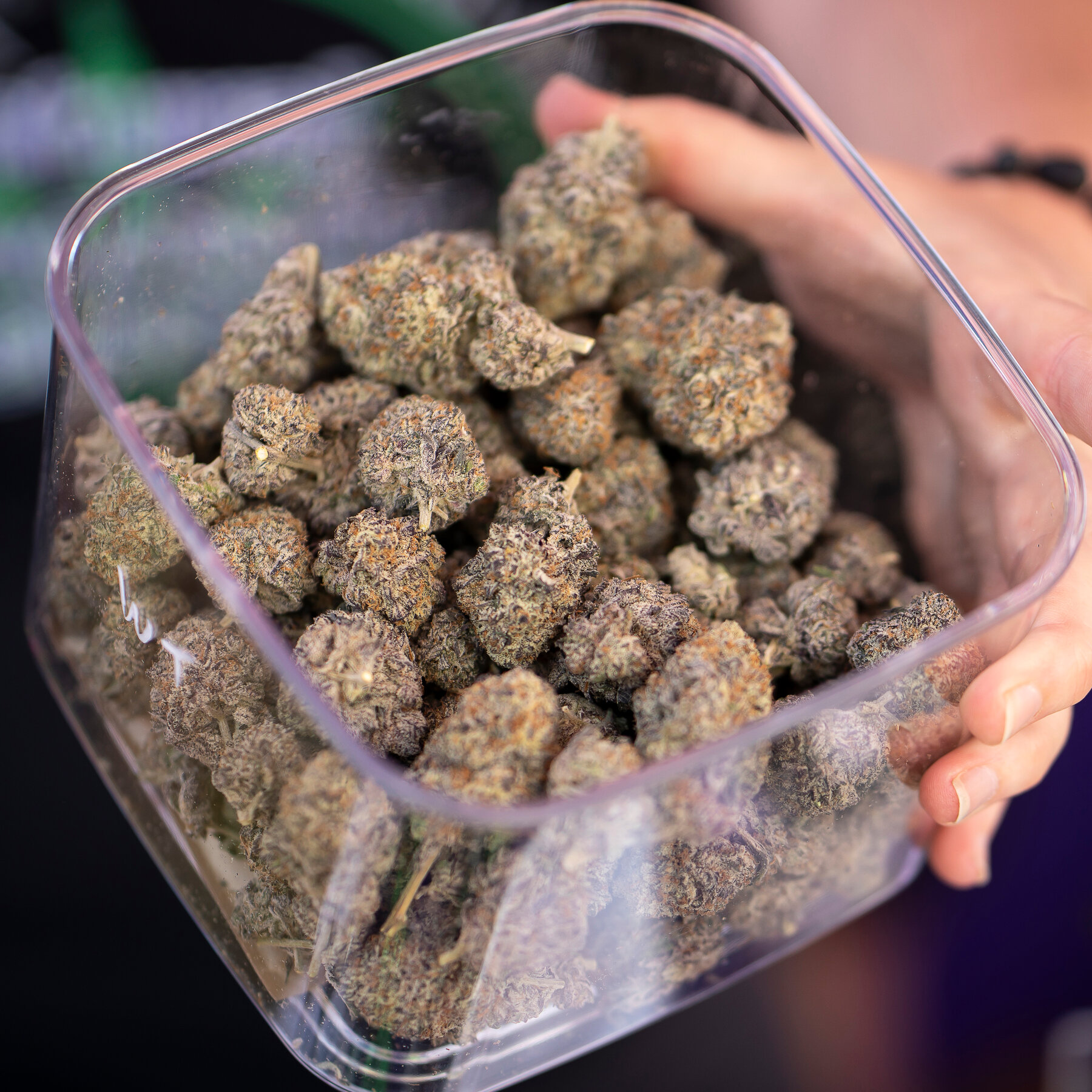 Pregnant Women Should Not Use Cannabis, New Medical Guidelines Say