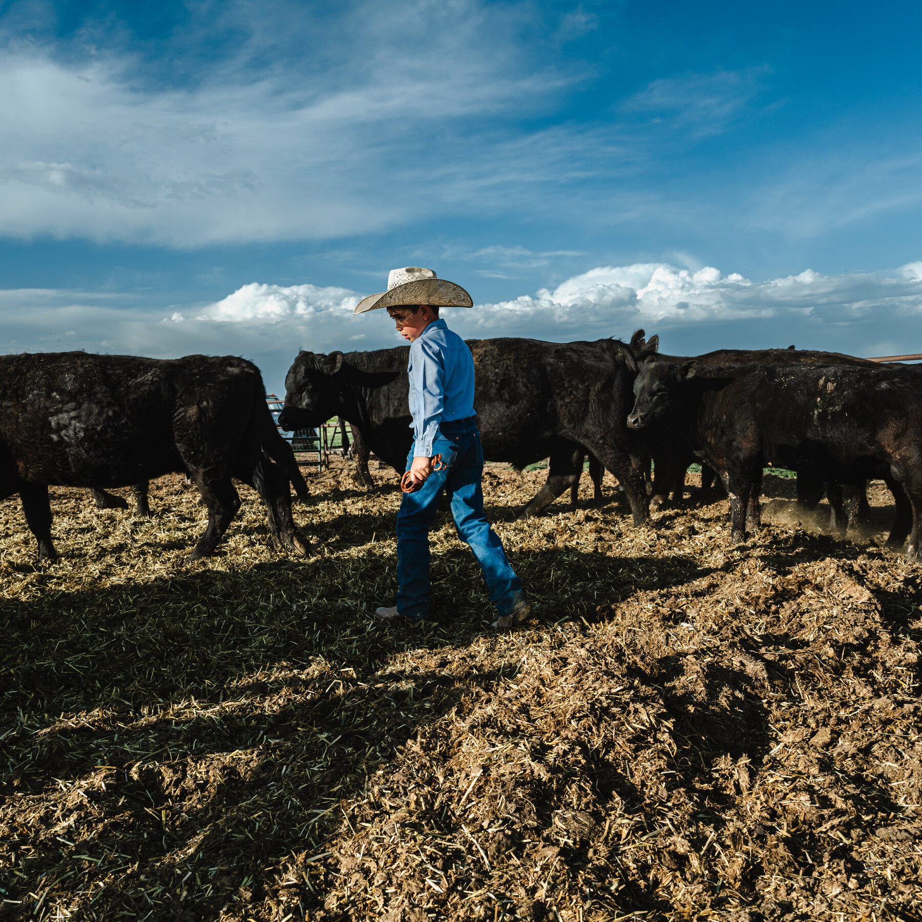 Ranchers Say Trump’s Plan to Lower Beef Prices Is ‘Misguided’