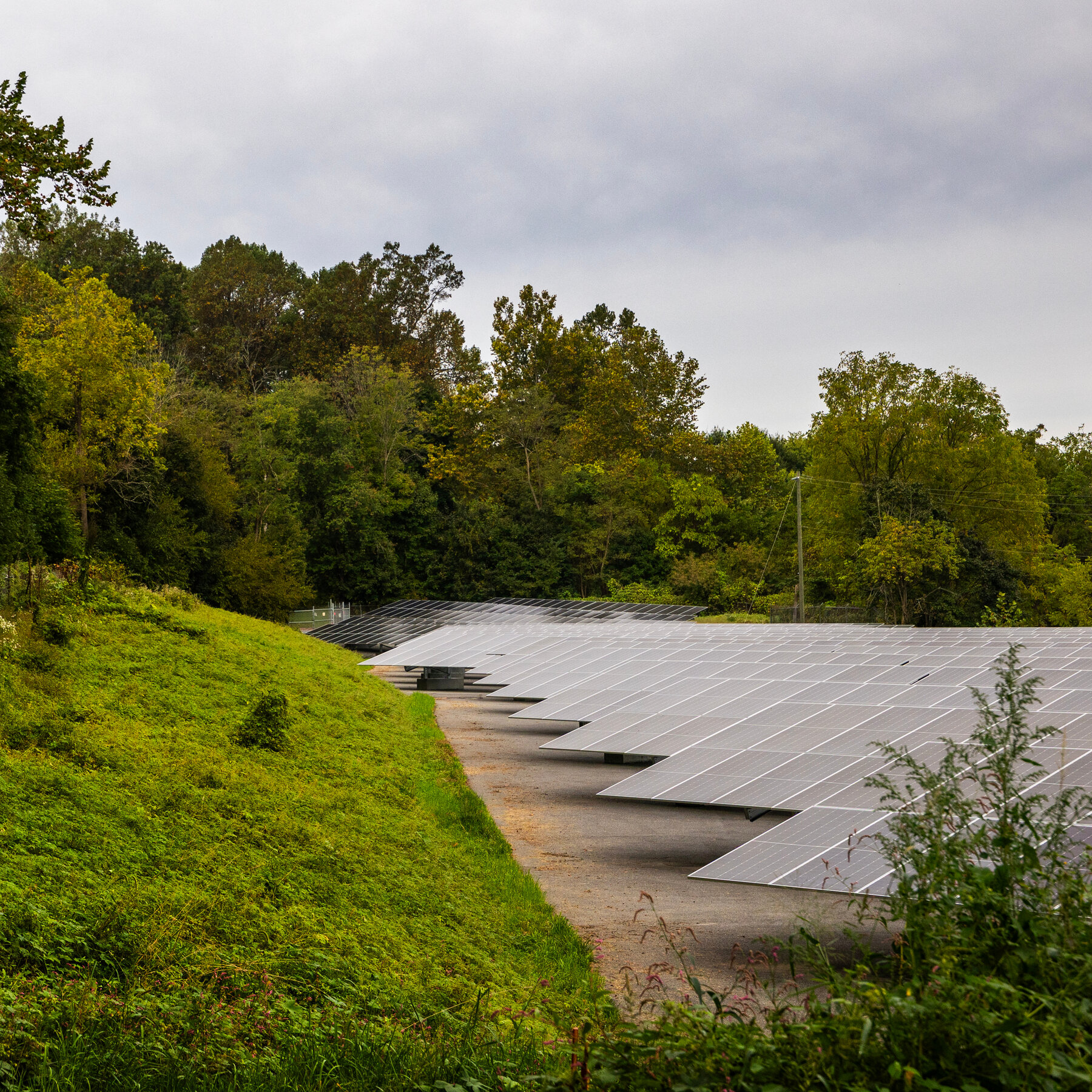 Renewable Energy Is Booming Despite Trump’s Efforts to Slow It